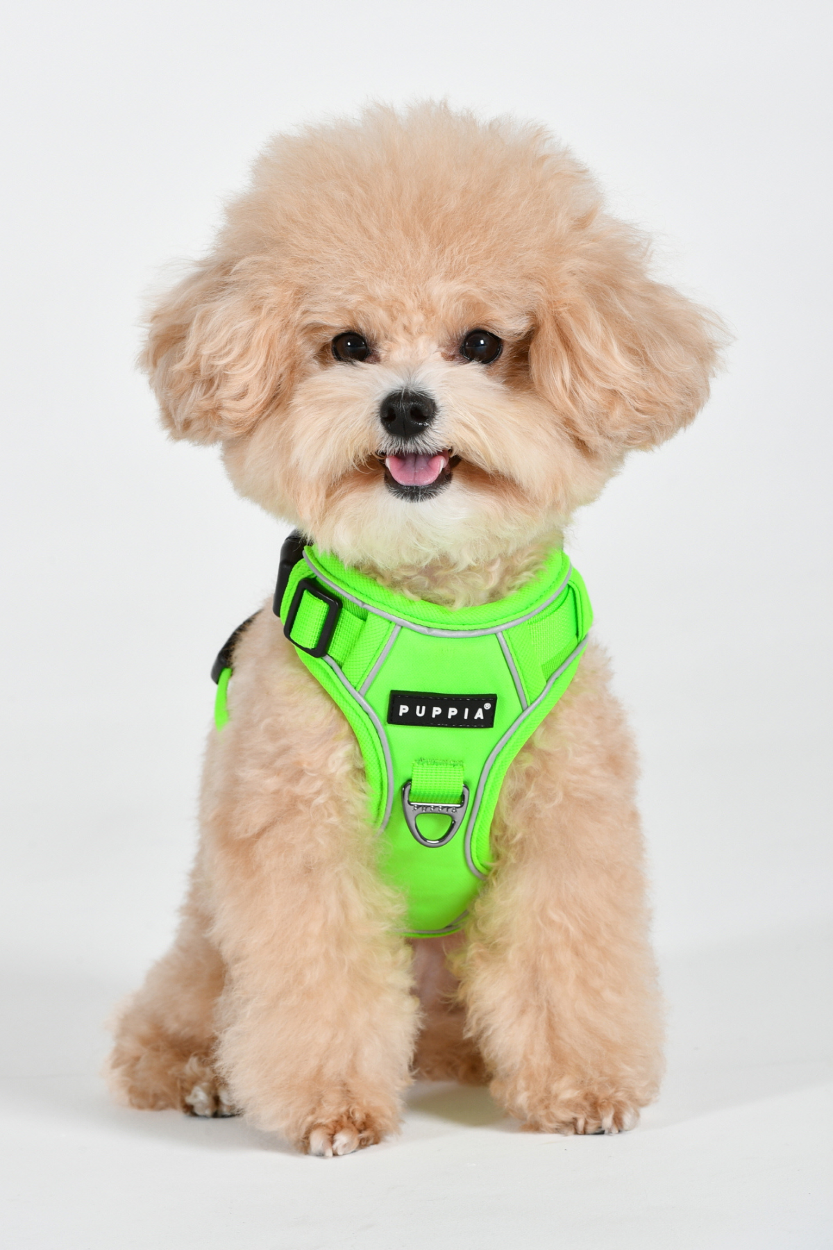 Puppia Neon Harness H Göğüs Tasması Yeşil