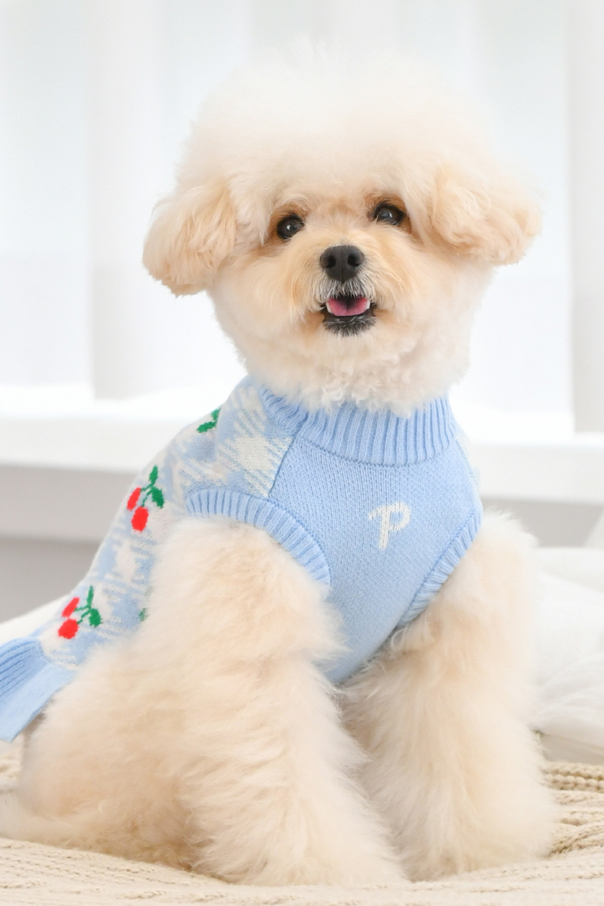 Puppia Rio Örgü Köpek Elbisesi Mavi