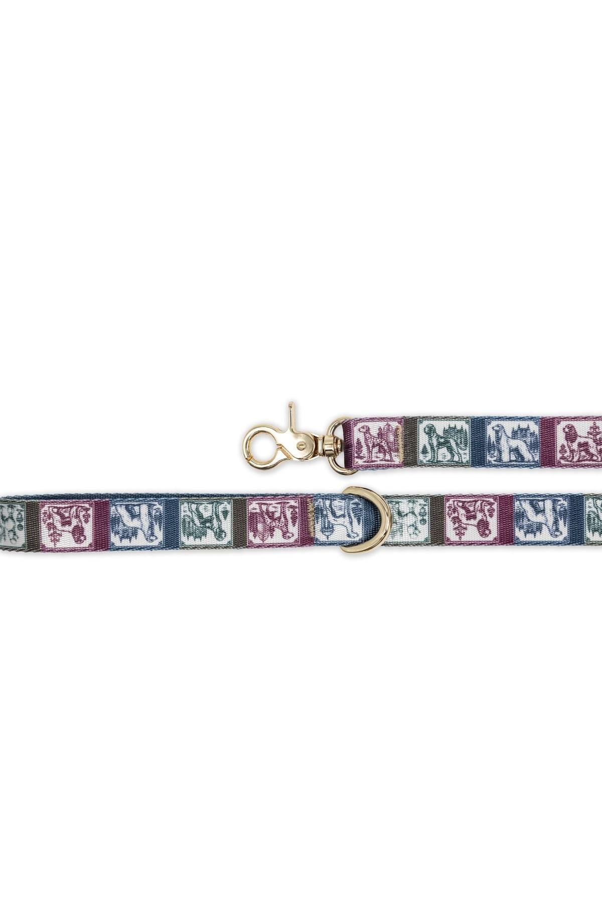 Lupinus Atelier Ductus Picta x Memoria Köpek Tasması