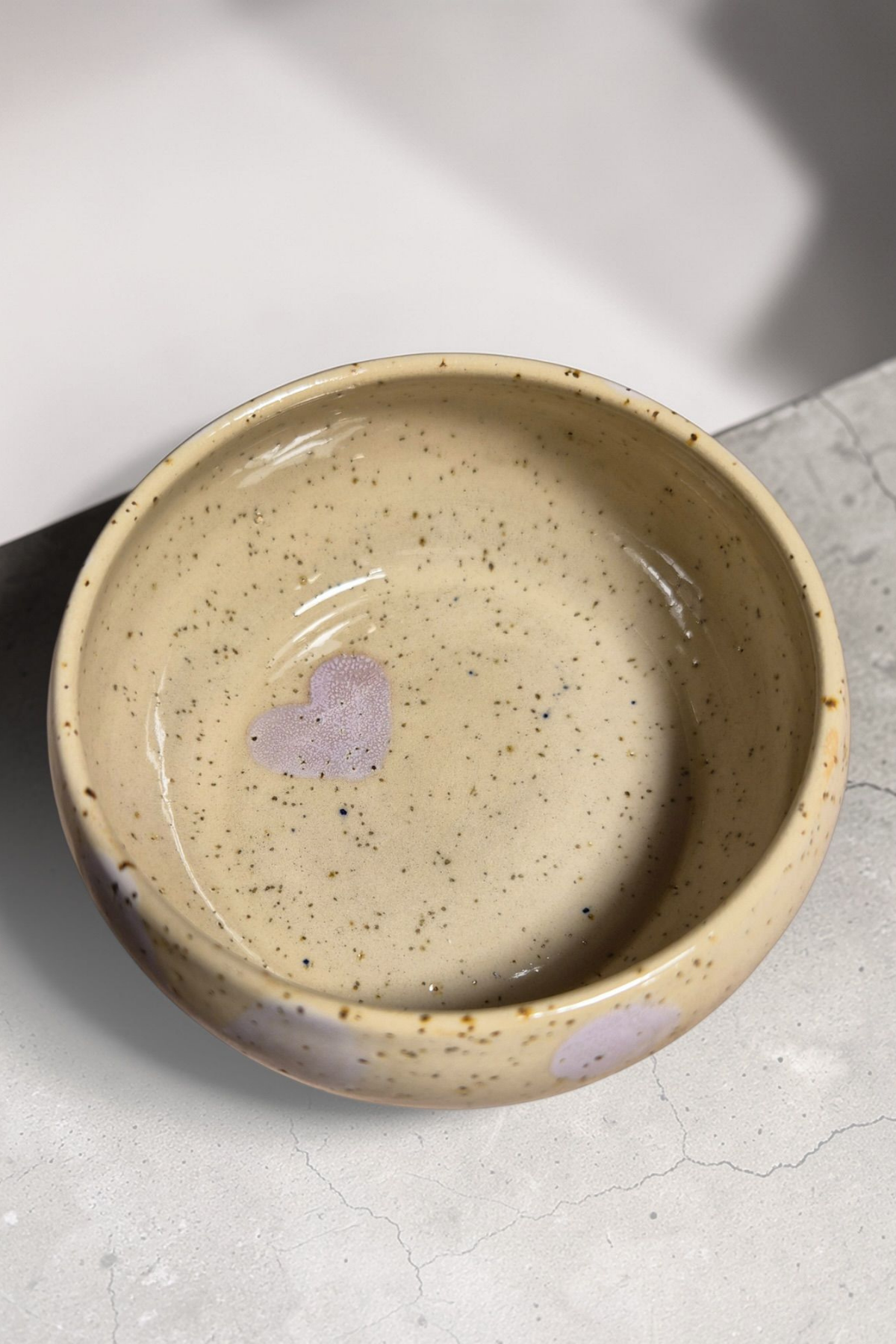 Feza Seramik Köpek Mama Kasesi- Benekli Lila Desen