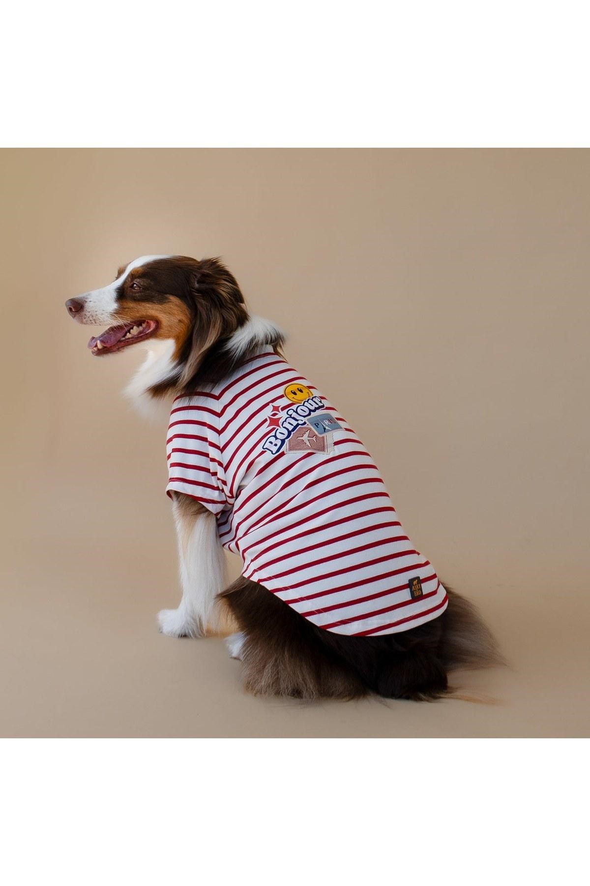 Asky&Erd Bonjour Paris Köpek T-Shirt | Rouge Breton