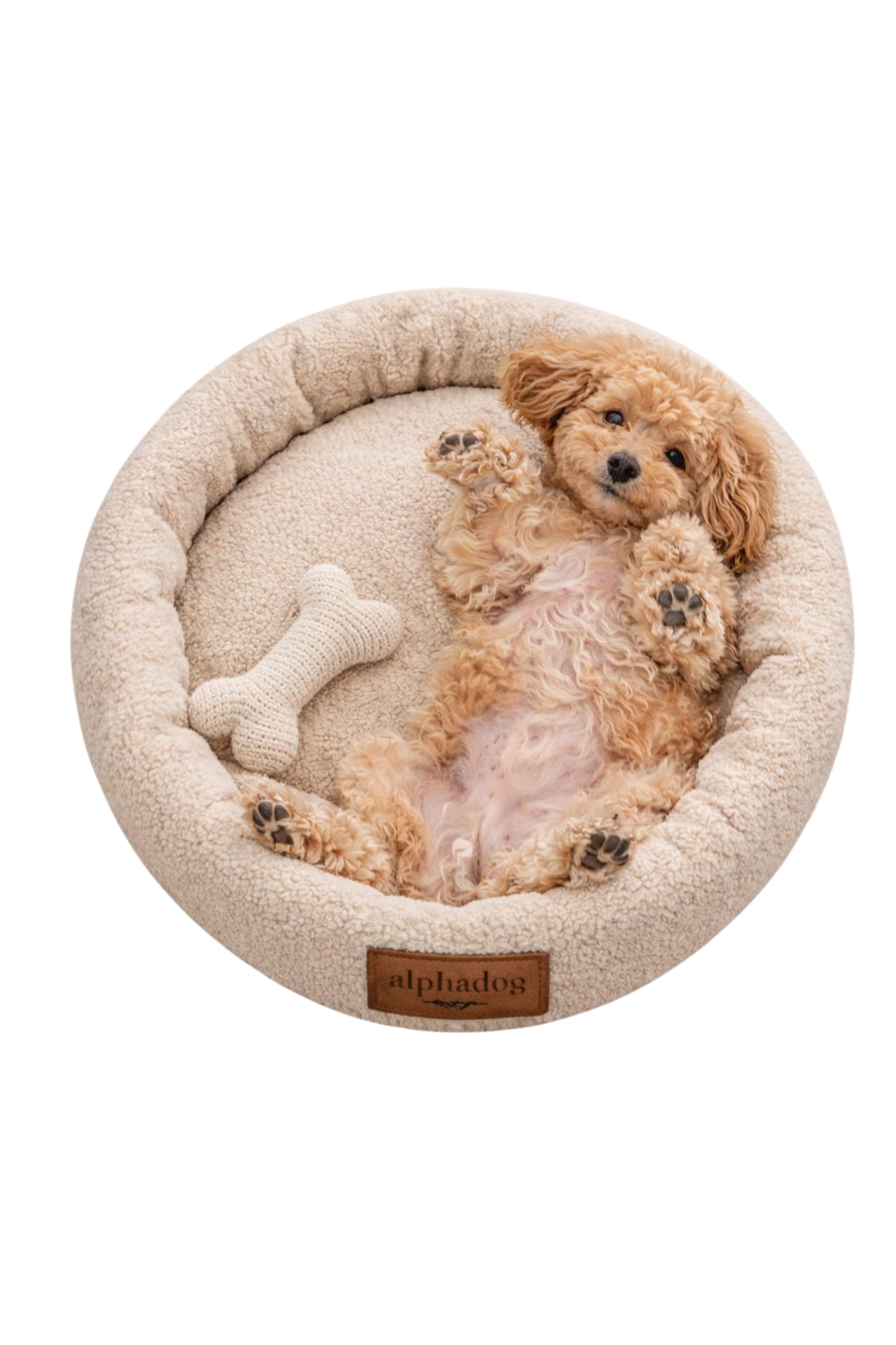 Alphadog Design Halobed Almond Köpek Yatağı