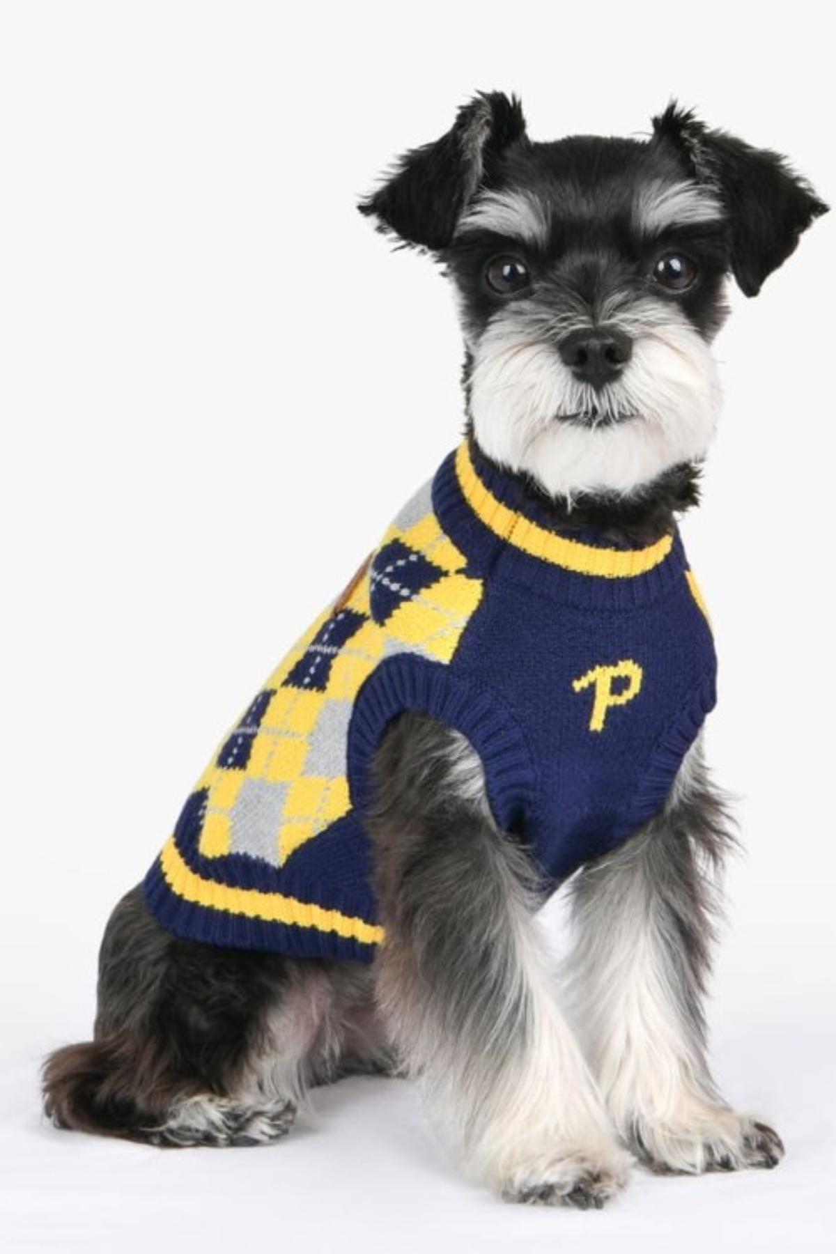 Puppia Gizmo Göğüs Tasması Sarı