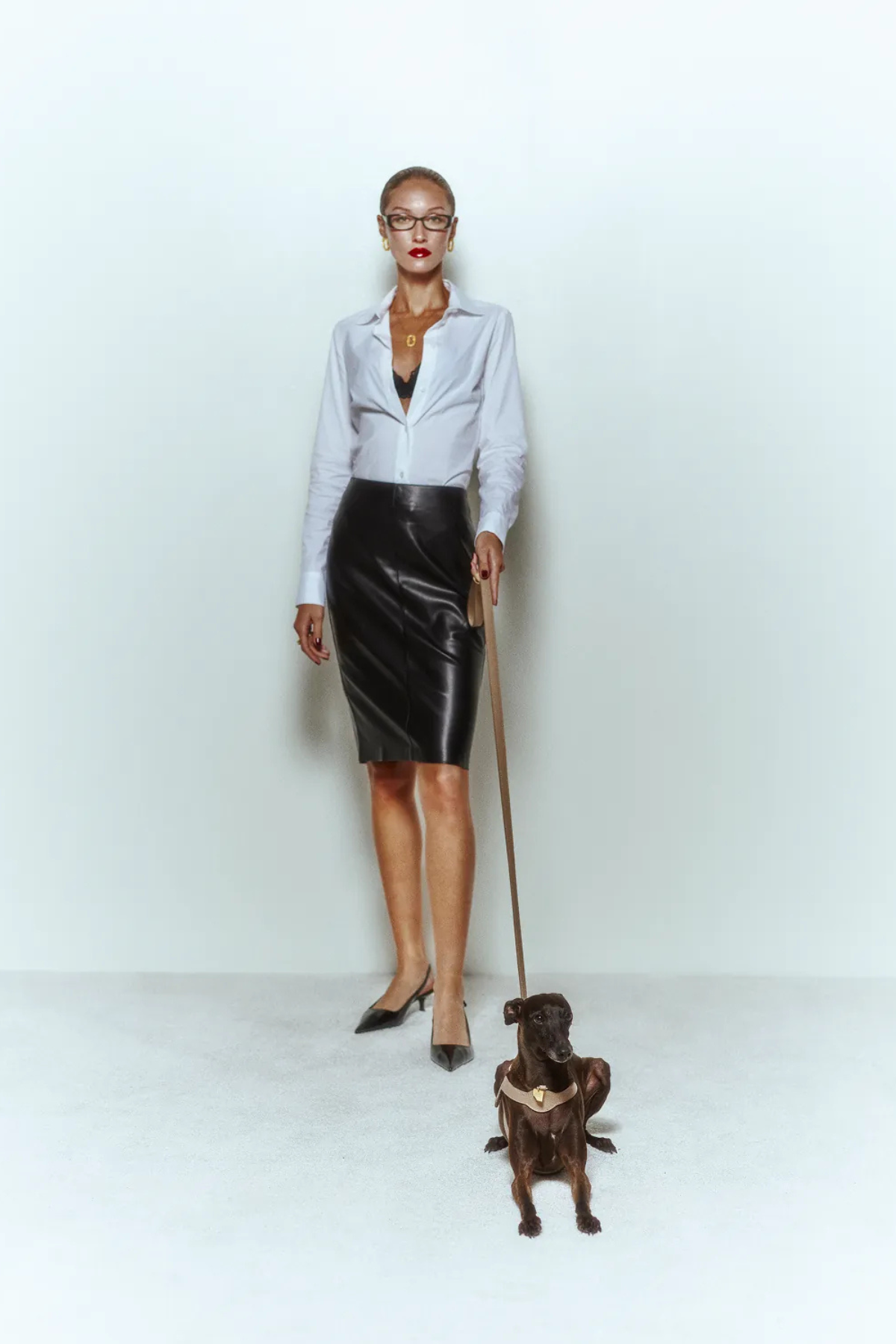 Lupinus Atelier Royale Byssus Köpek Göğüs Tasması
