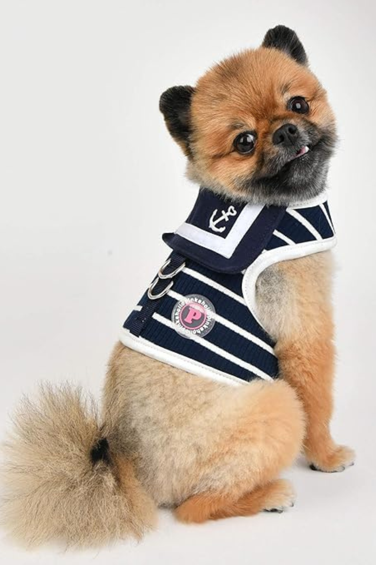 Pinkaholic New York Cordelia Pinka Harness Göğüs Tasması Lacivert