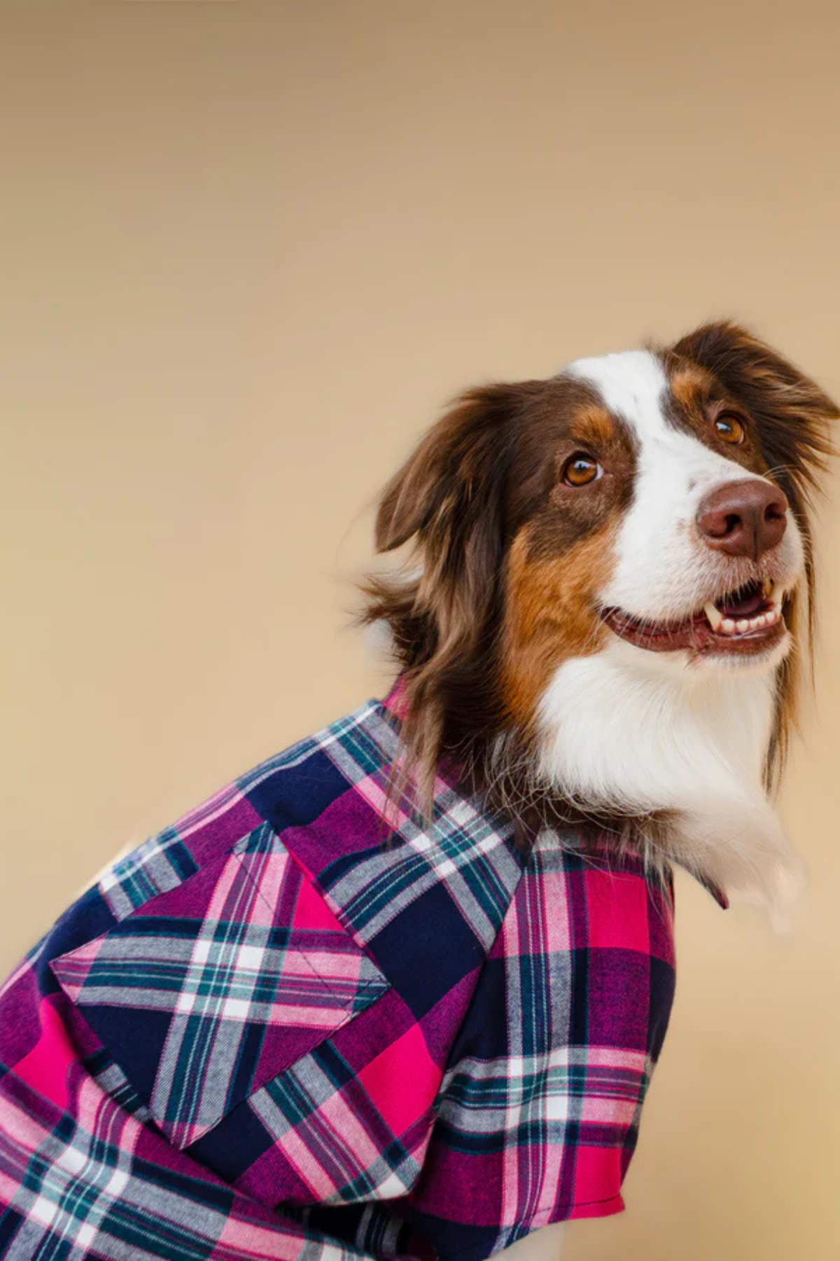 Asky&Erd Plaid Shirt Midnight Berry