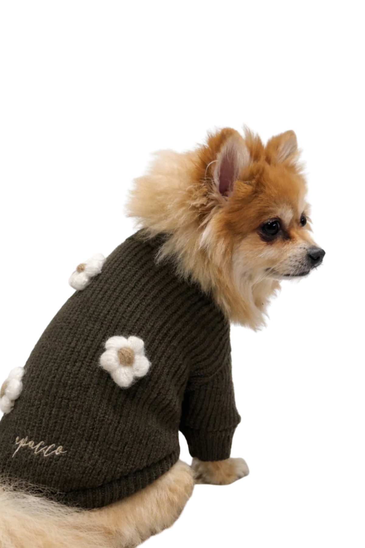 Apac.co  Çiçekli Köpek Kazak Kahverengi 