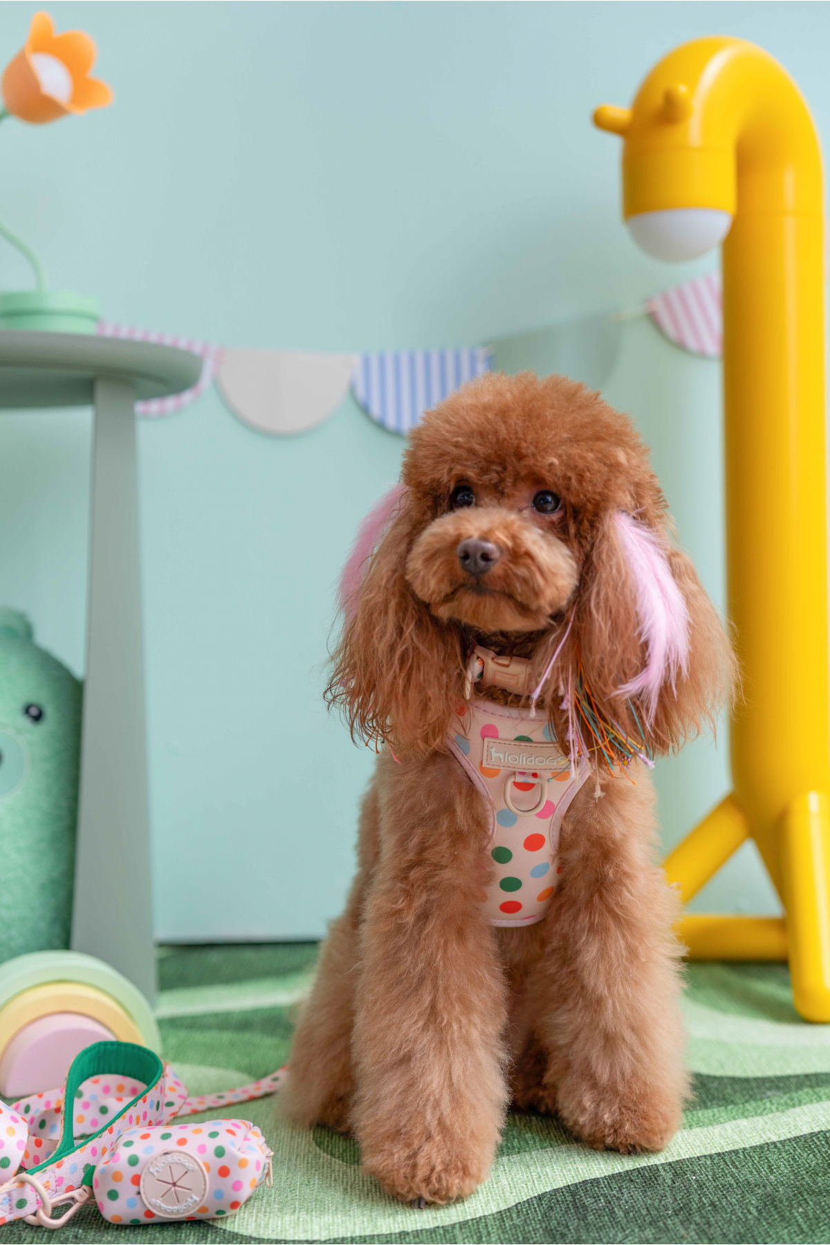 Lolidogs Köpek Göğüs Tasması ve Kayış Seti | Confetti