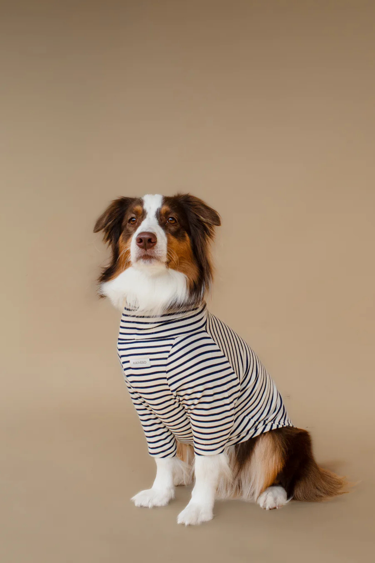 Asky&Erd Turtleneck Tshirt | Coastal Navy