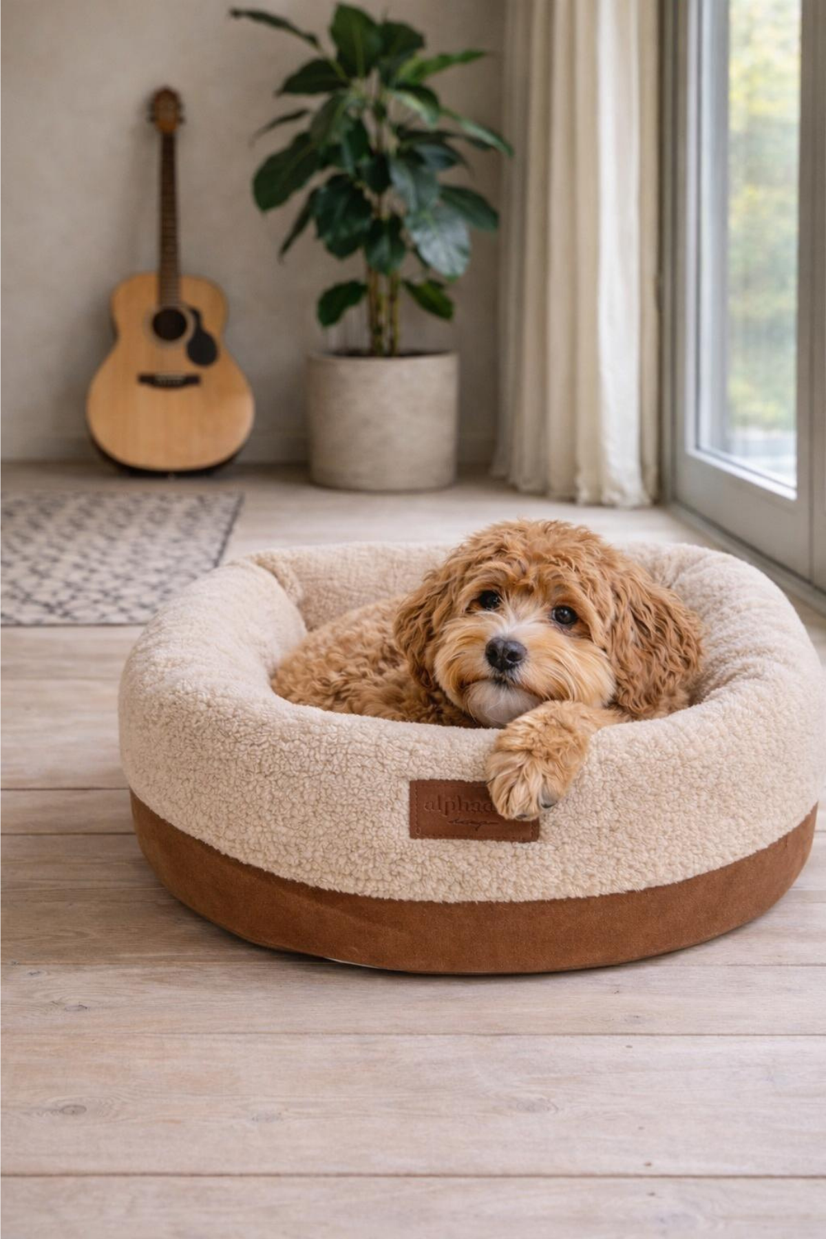 Alphadog Design Halobed Terra Köpek Yatağı