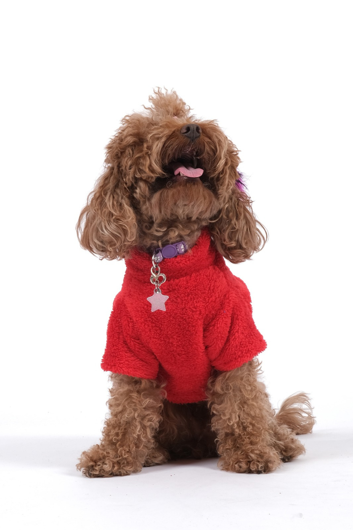 Doredog Kırmızı Ayıcıklı Peluş Sweat