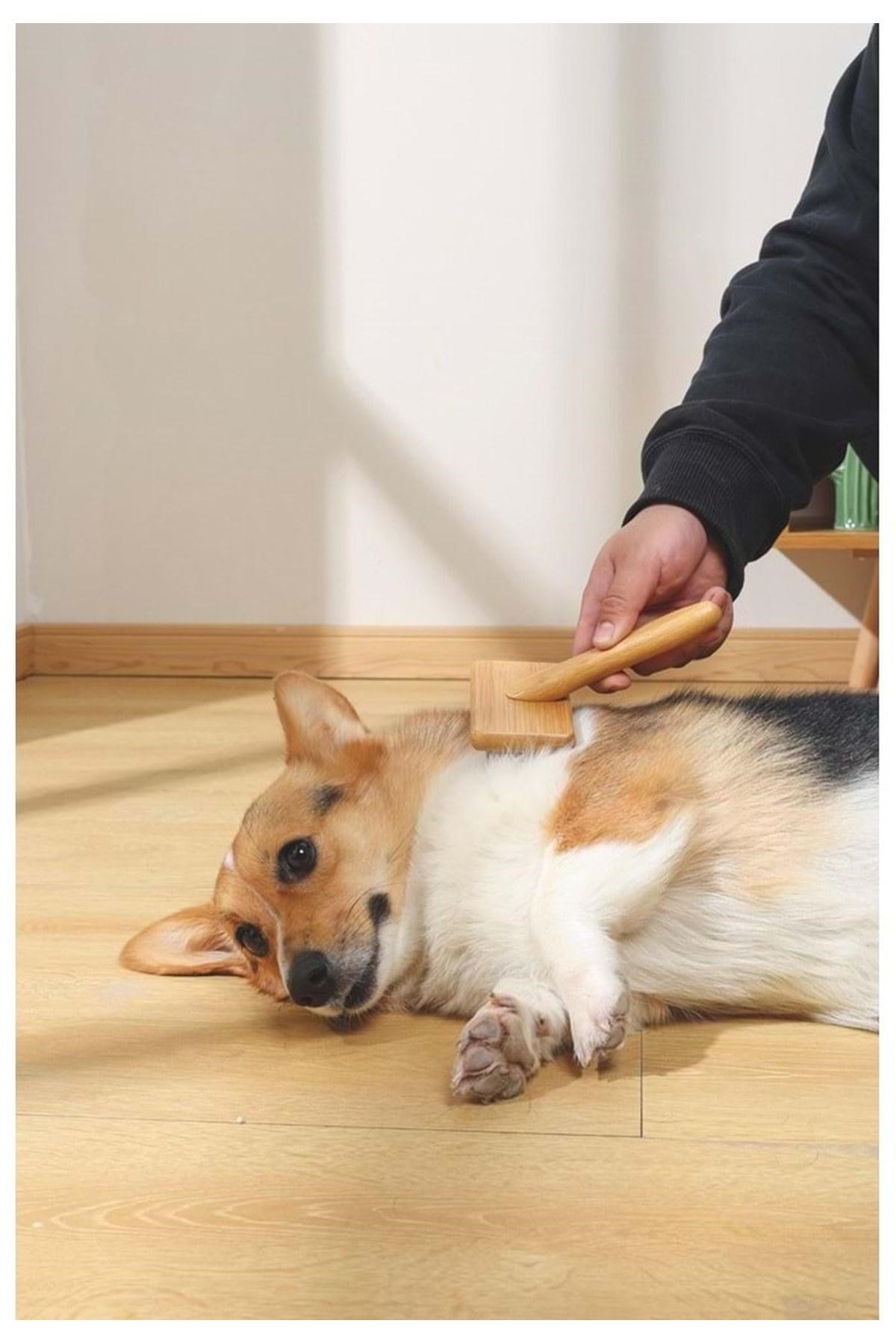 M-Pets Bamboo İnce Telli Köpek Fırçası 