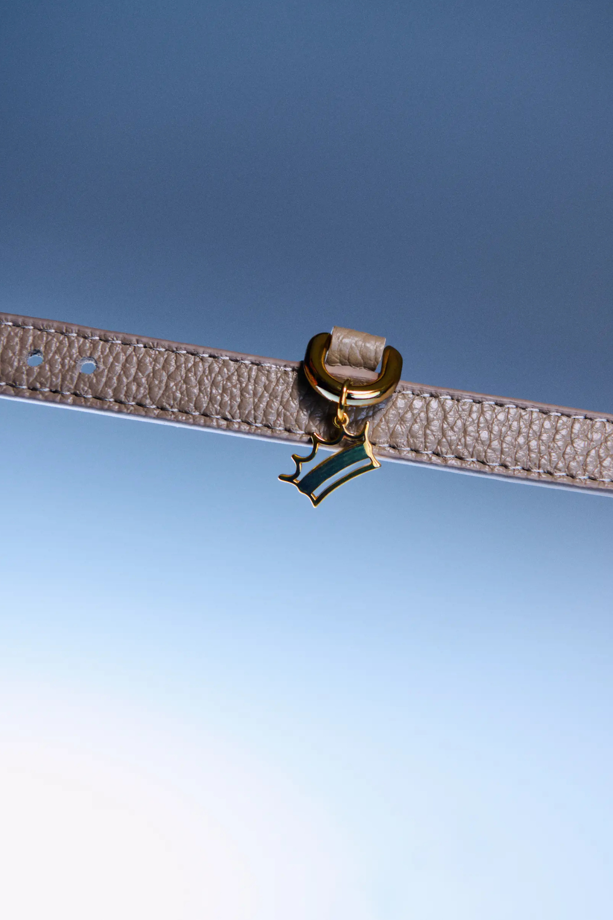 Coronet Charm Tasma Aksesuarı