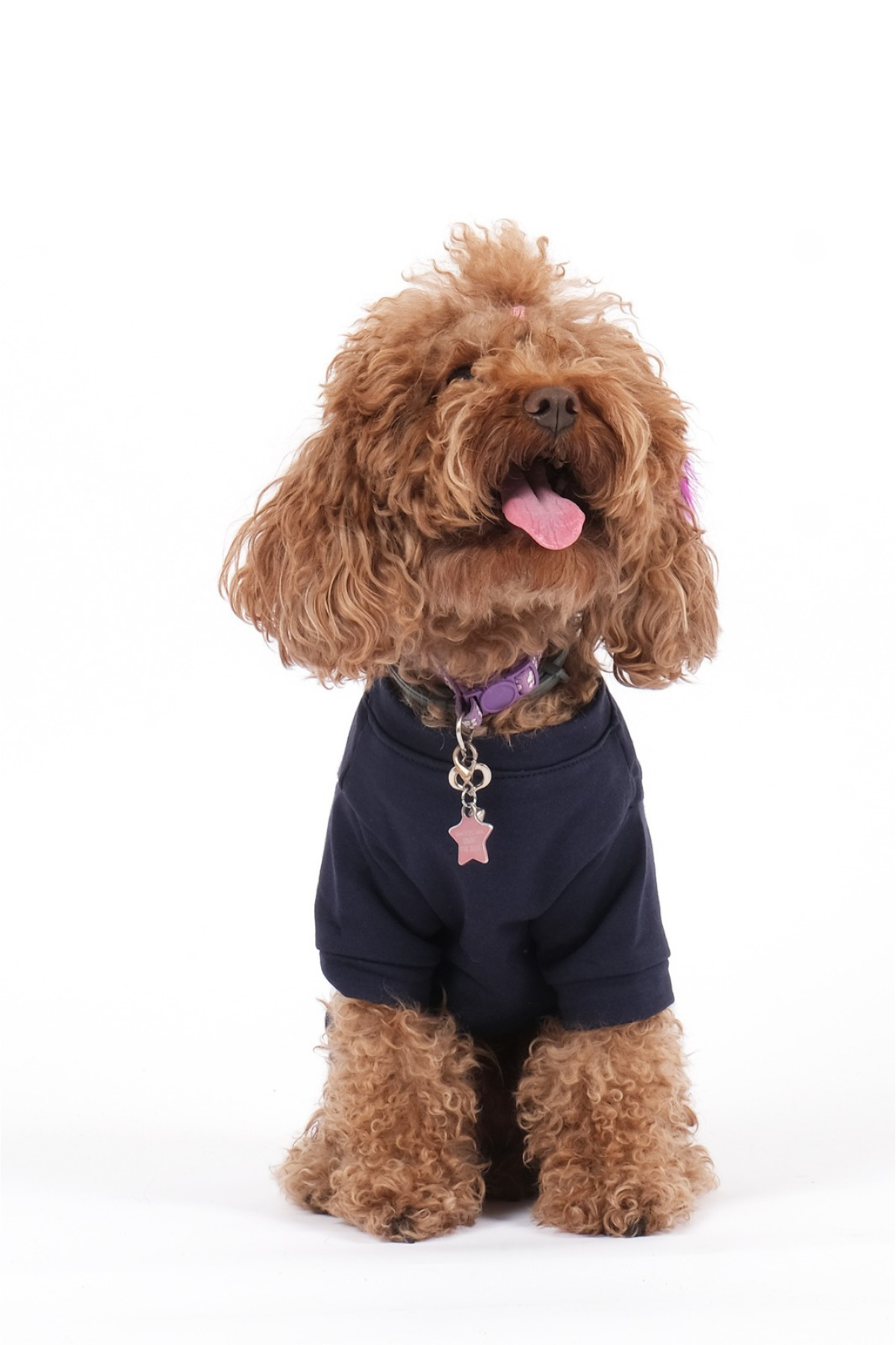 Doredog Lacivert Düz Sweatshirt