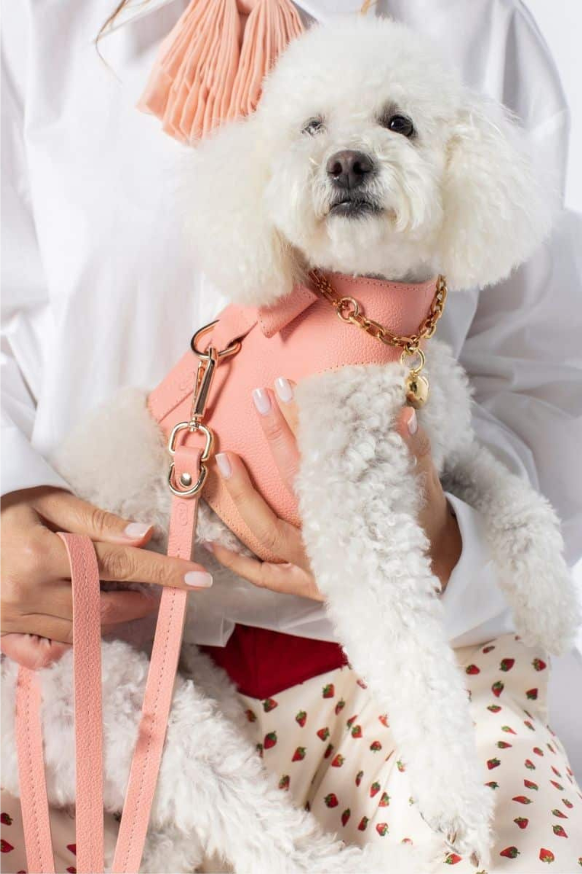 Zoe Pet Atelier Vest Harness Köpek Göğüs Tasması Şeker Pembe