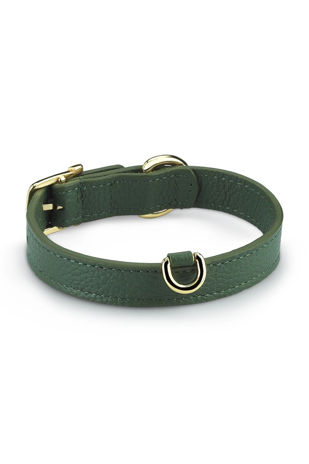 Lupinus Atelier Duke Viridis Köpek Boyun Tasması