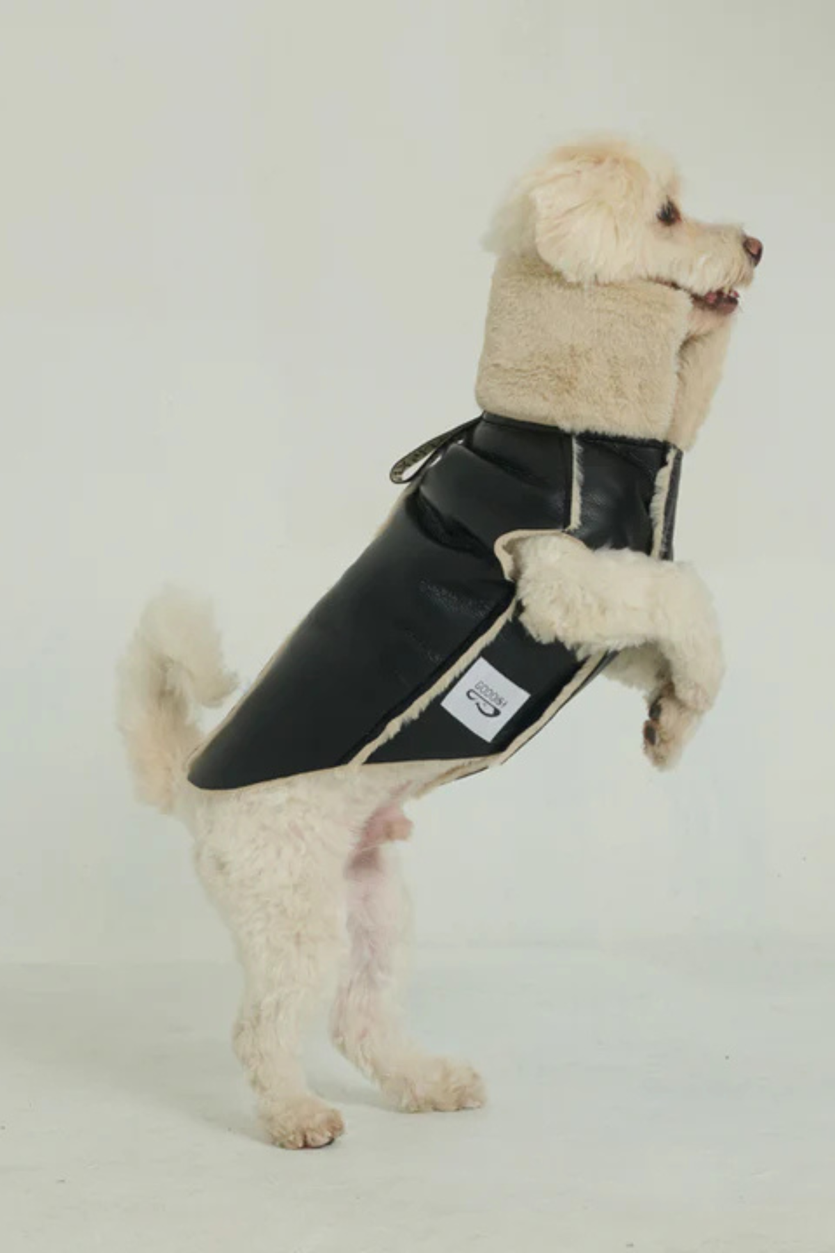Godoist Nappa Köpek Montu - Nappa Leather Jacket