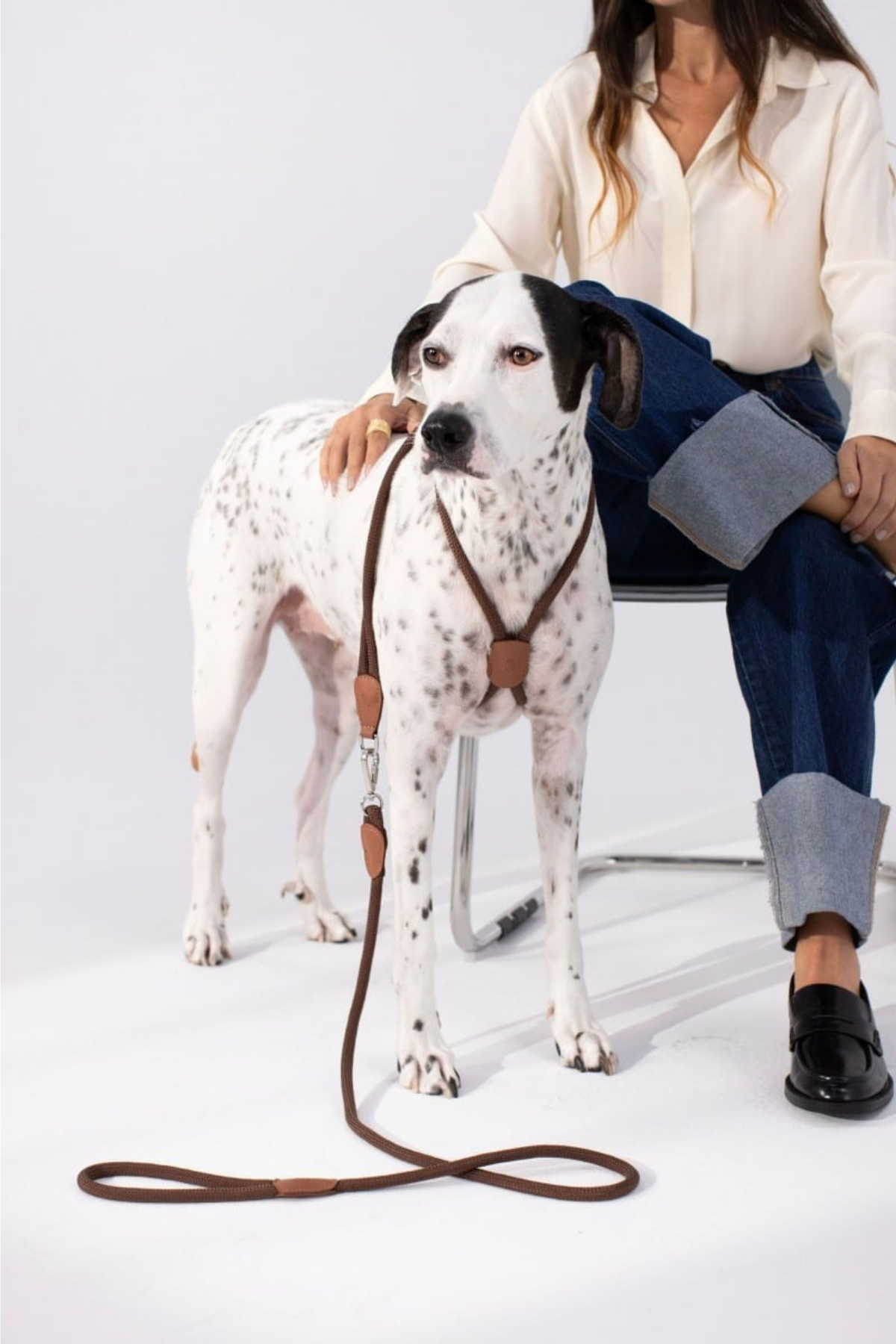 Zoe Pet Atelier Loop Köpek Göğüs Tasması Espresso Kahverengi