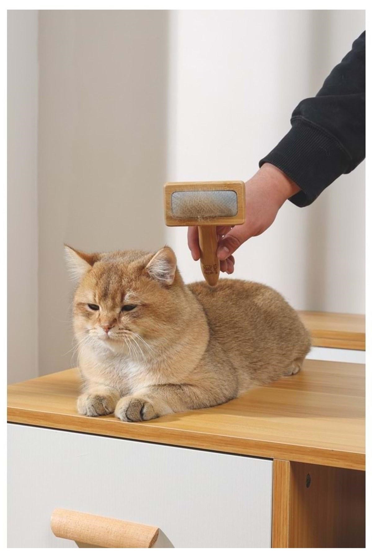 M-Pets Bamboo İnce Telli Köpek Fırçası 