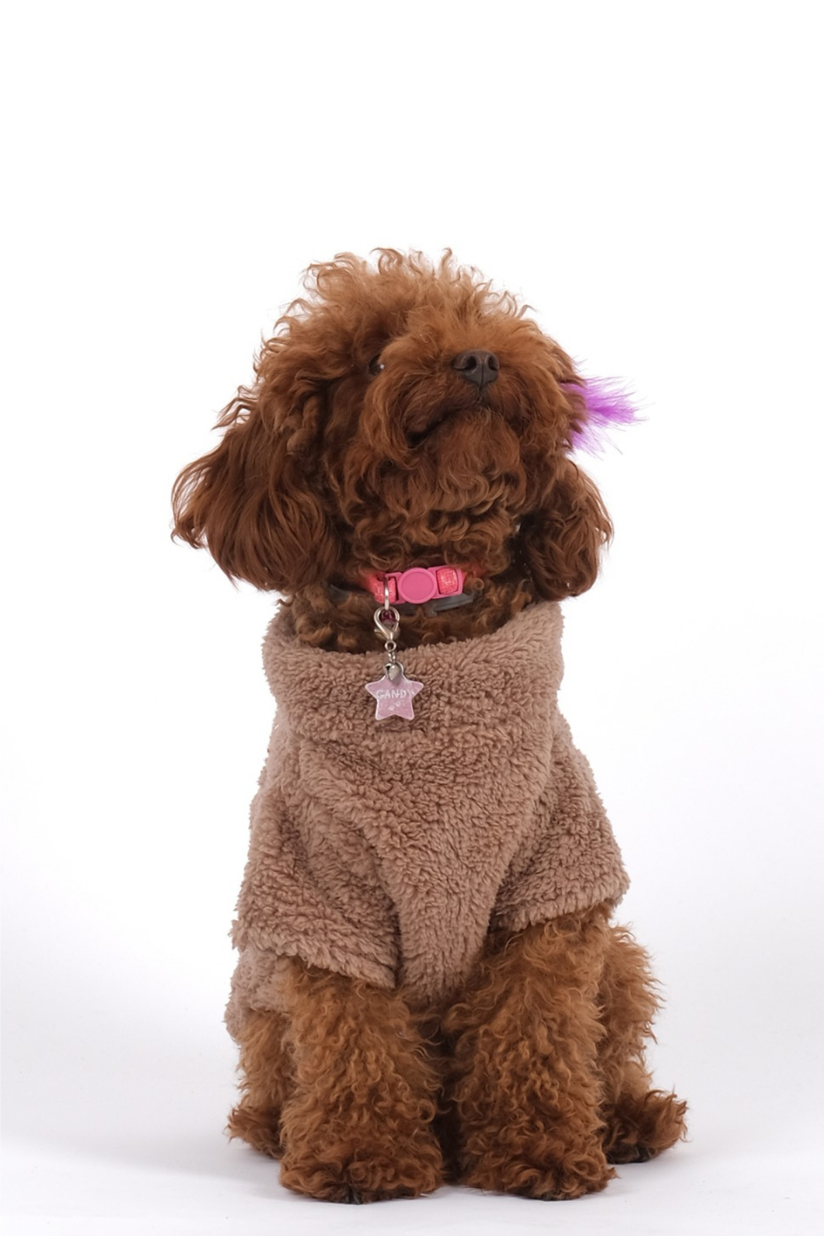 Doredog Taba Ayıcıklı Peluş Sweatshirt