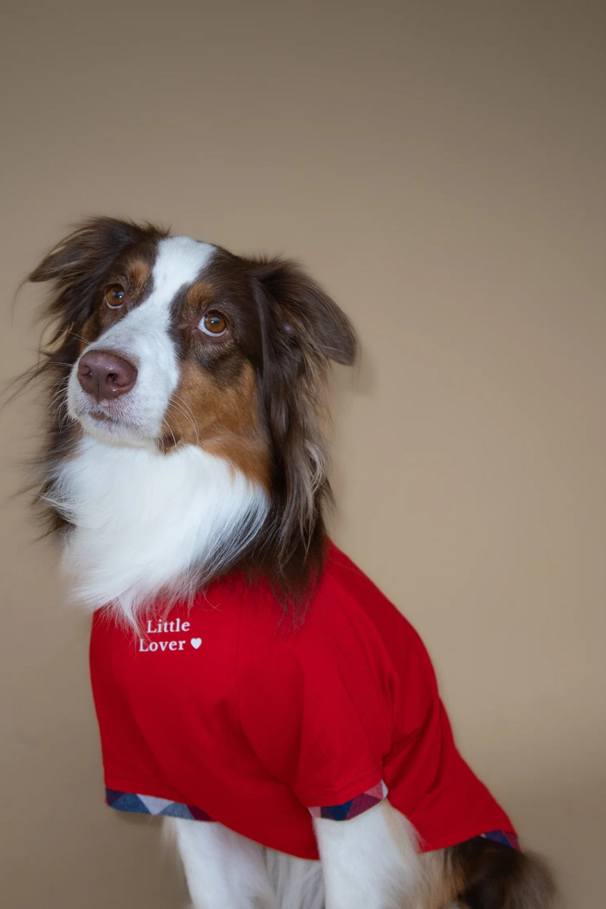 Asky&Erd Love Club Tshirt | Crimson Check