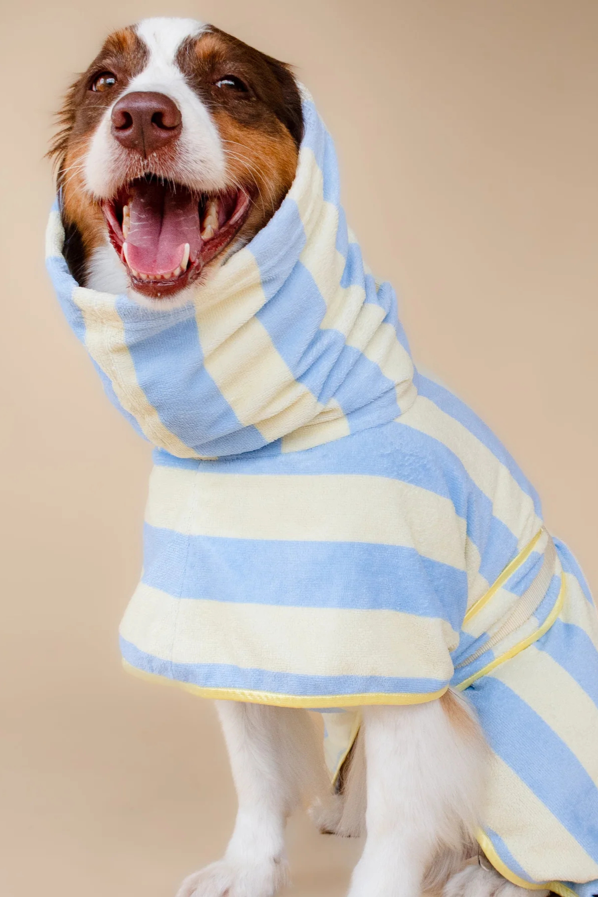 Asky&Erd Soft Rituals Cepli Köpek Kurulama Havlusu Butterscotch Çizgili Pijamalar ve Bornozlar