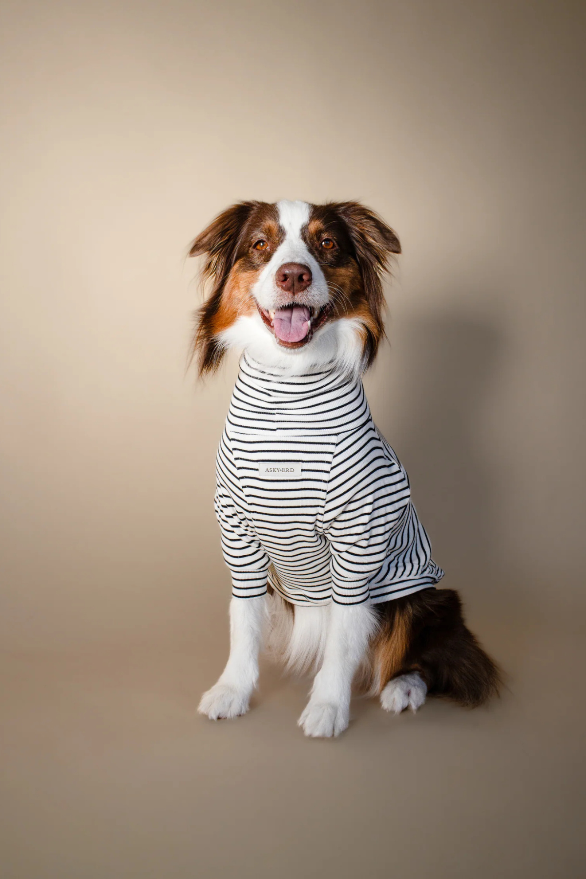 Asky&Erd Turtleneck Tshirt | Classic Stripe
