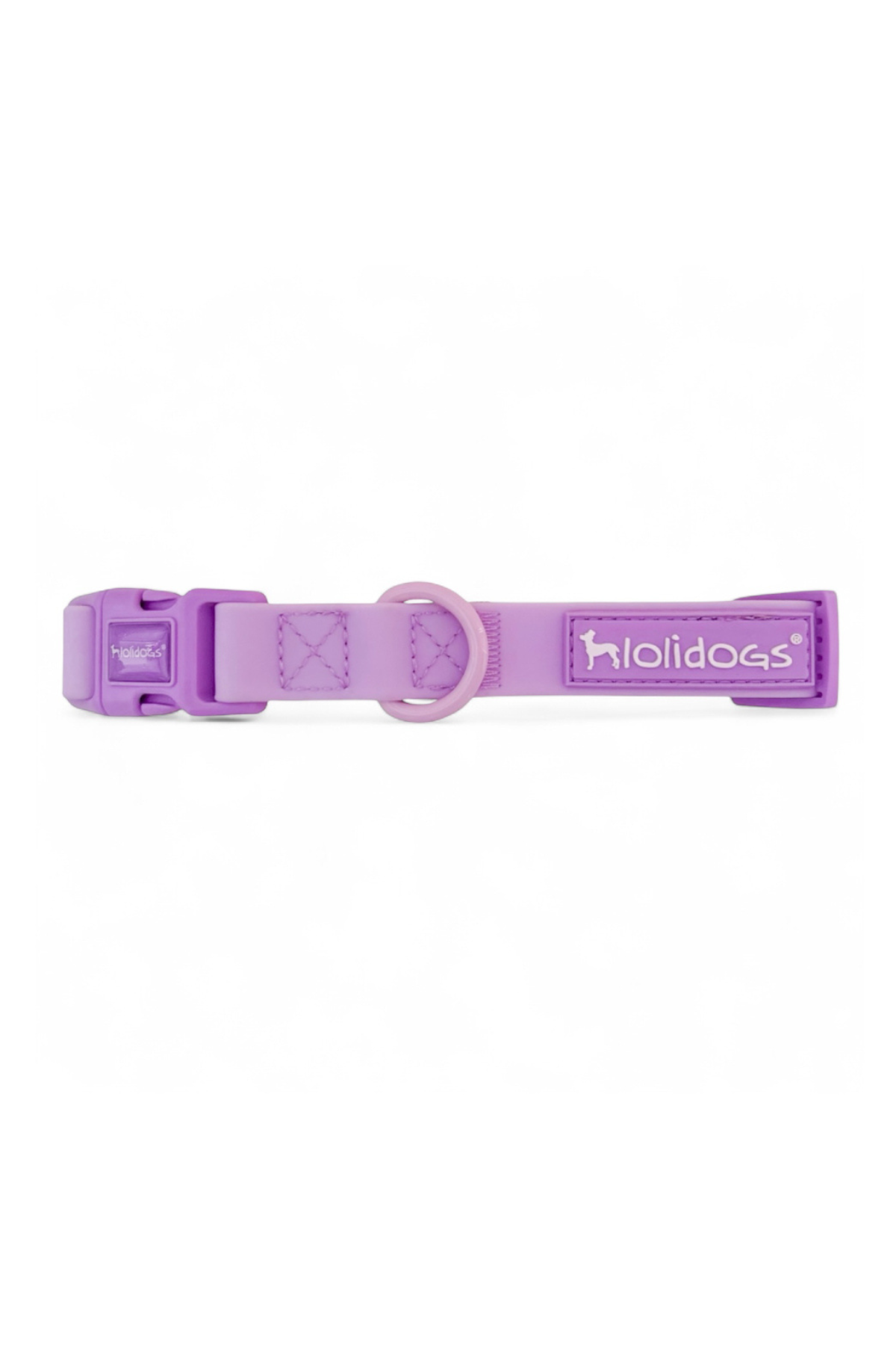 Lolidogs Dream Collection | Köpek Boyun Tasması Viola
