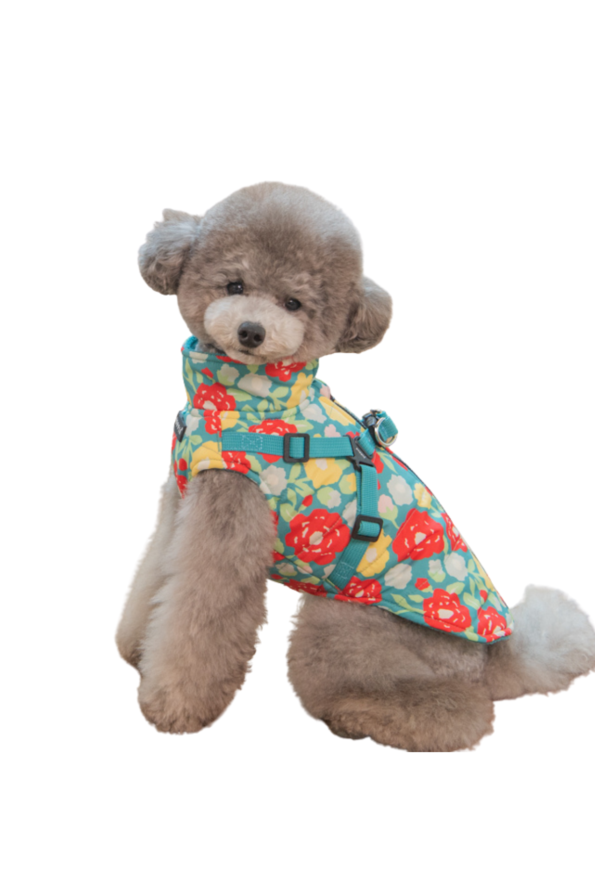 Puppia Alyssa Kışlık Köpek Tulumu - Aqua