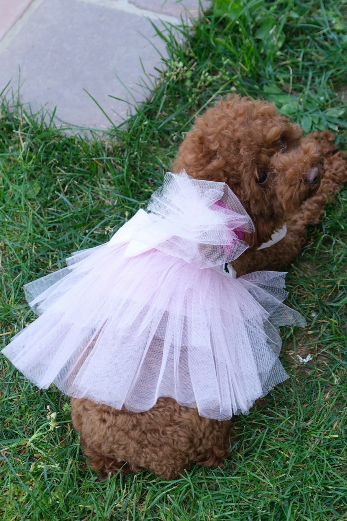 Doredog pembe fiyonklu tütülü elbise