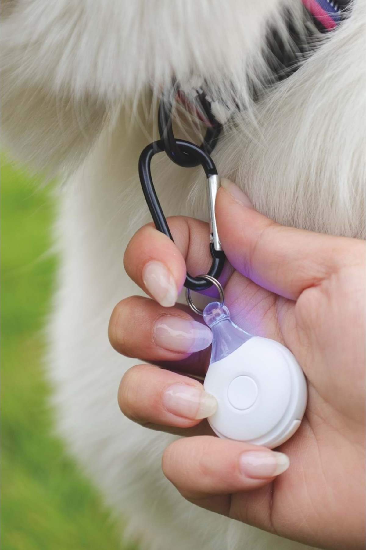 M-Pets Fearless Ultrasonic Pire ve Kene Kovucu Siyah