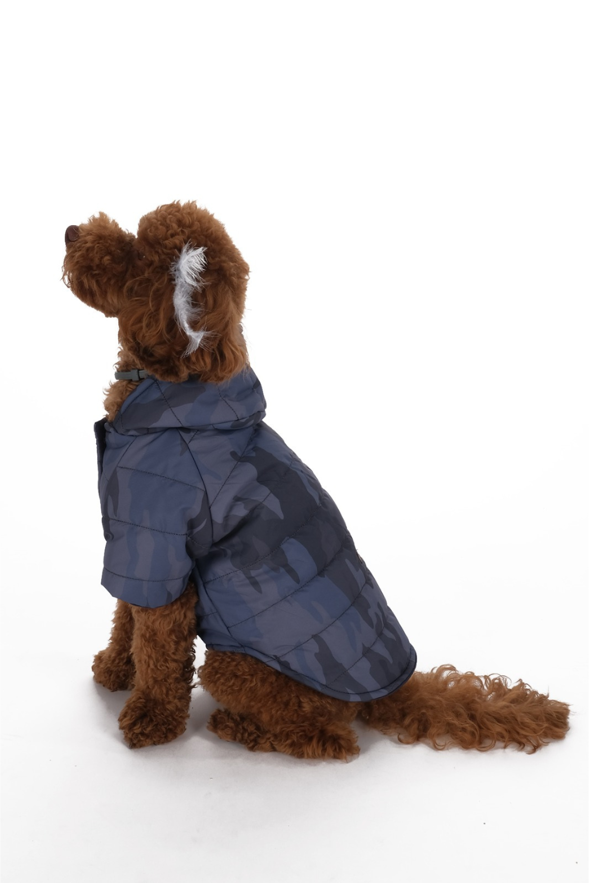 Doredog Gri Kamuflaj Mont