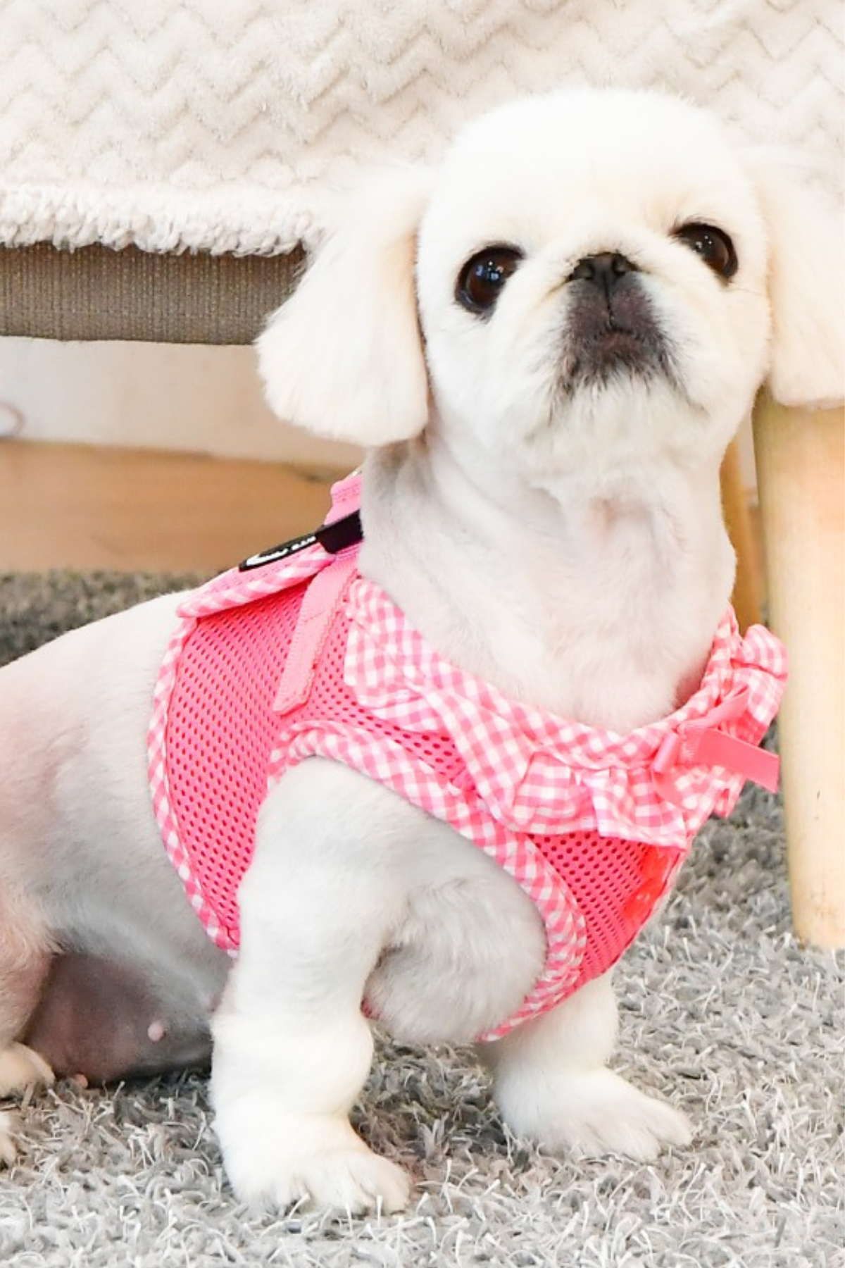 Vivien Harness B Köpek Göğüs Tasması Pembe  
