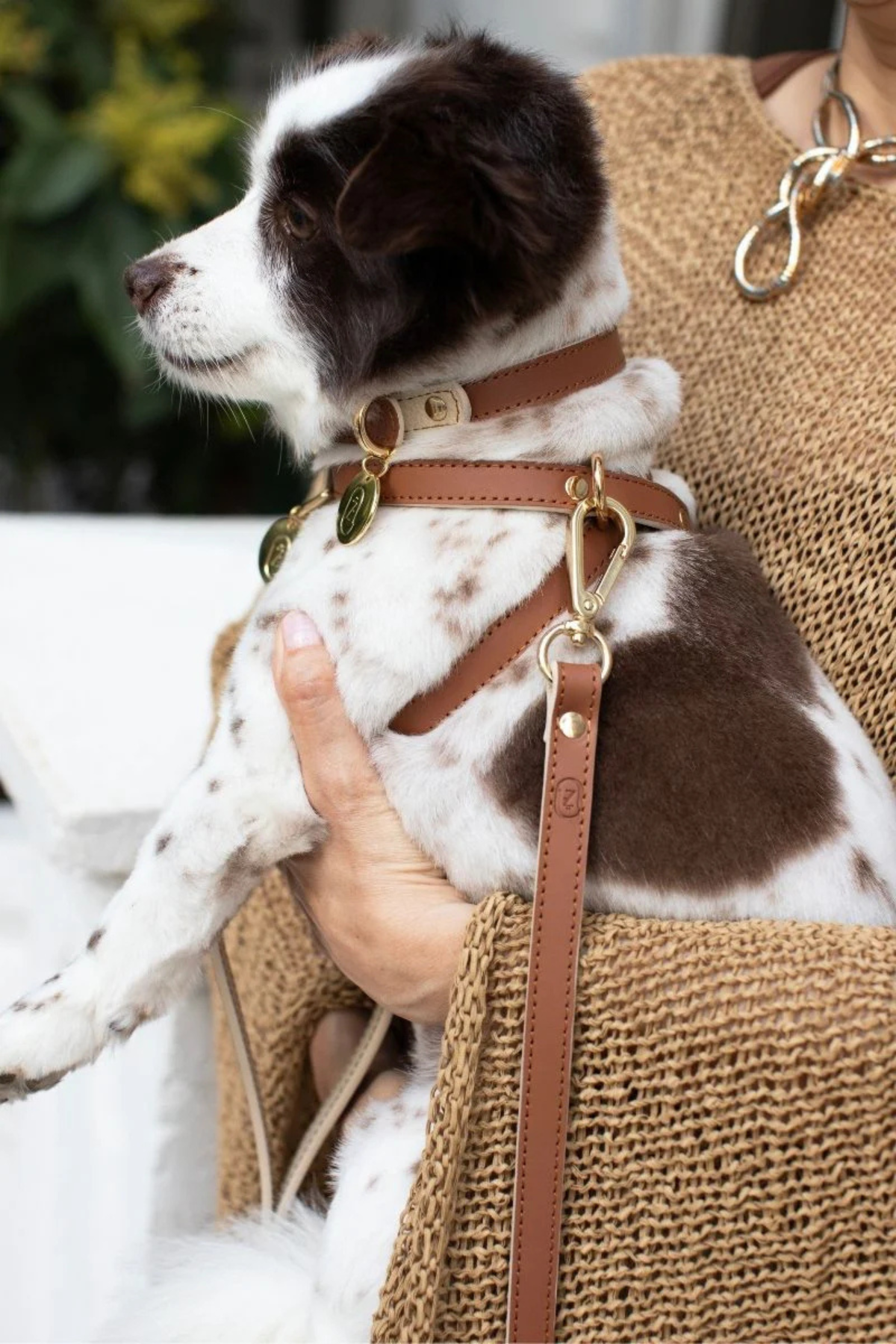 Zoe Pet Atelier Çarpraz Göğüs Tasması - Karamel / Bej