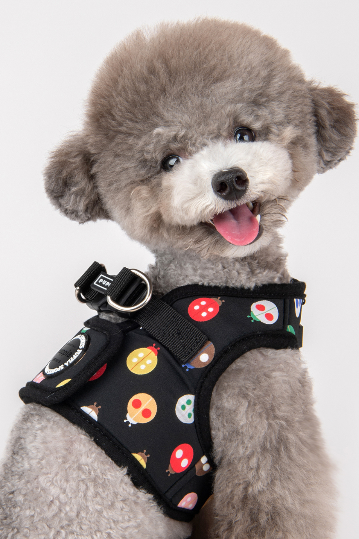 Lady Beetle Harness B Köpek Göğüs Tasması Siyah
