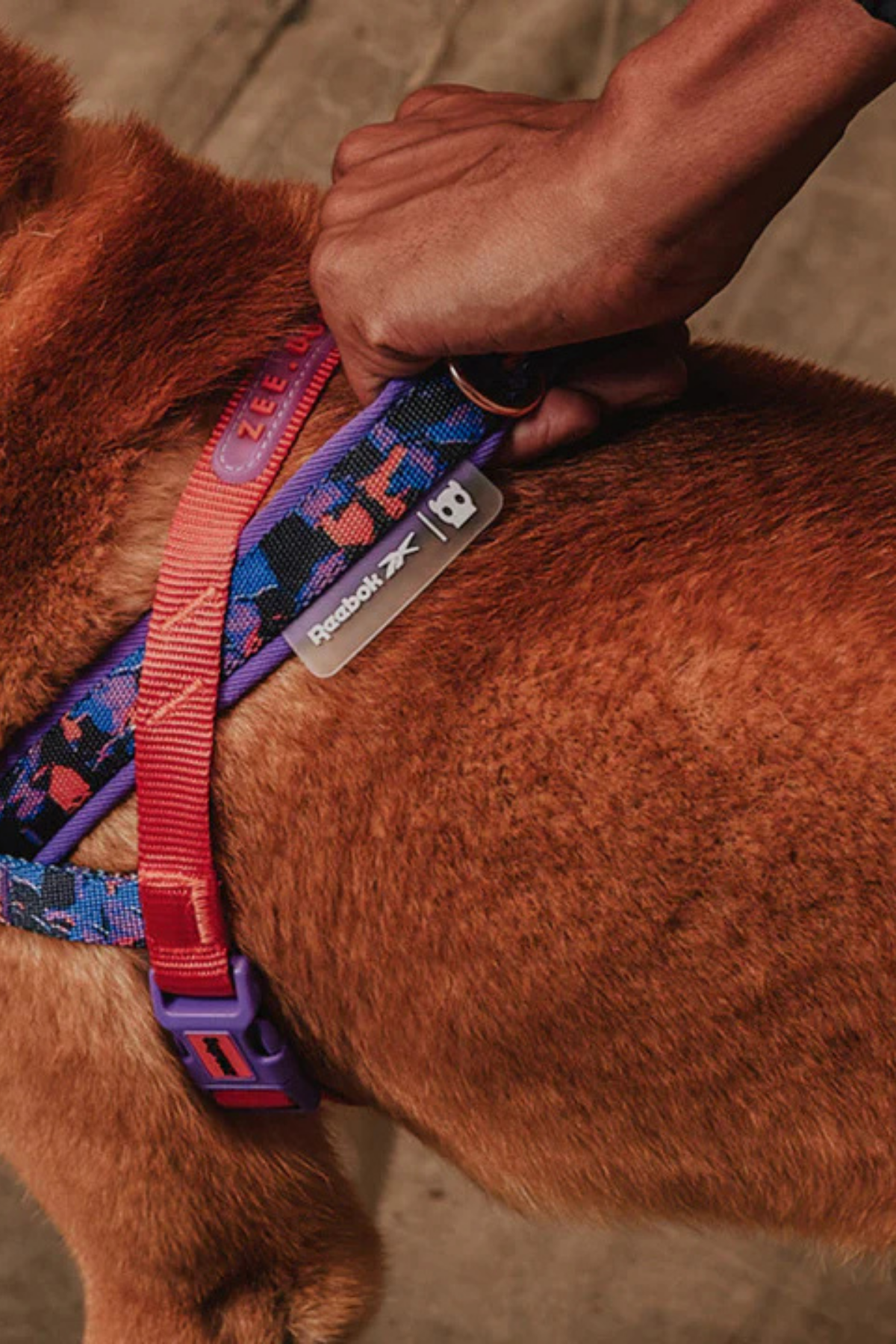 Zee.Dog Reebok x Zee.Dog Court Softer Walk Göğüs Tasması