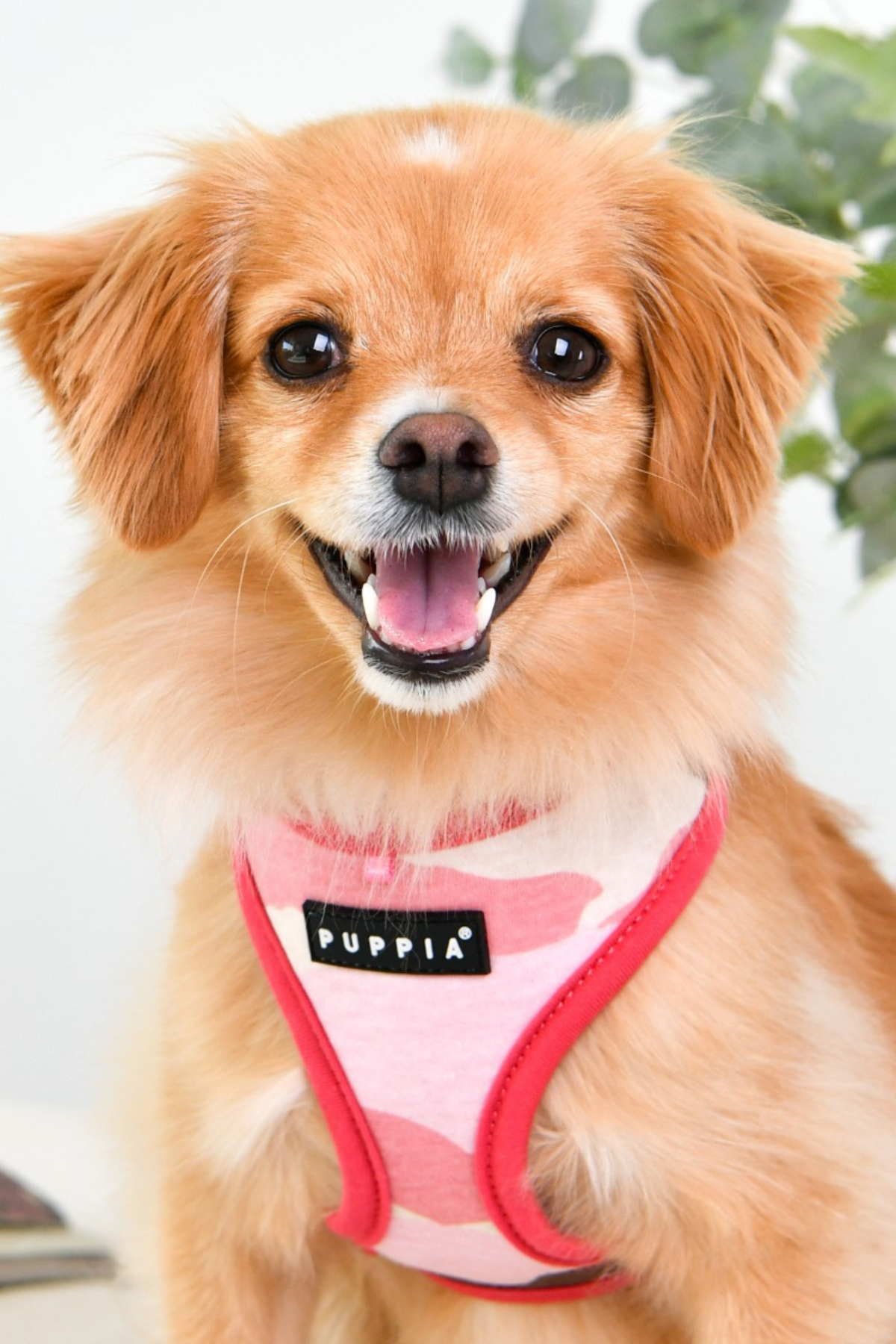 Lance Harness B Köpek Göğüs Tasması Pembe Kamuflaj 