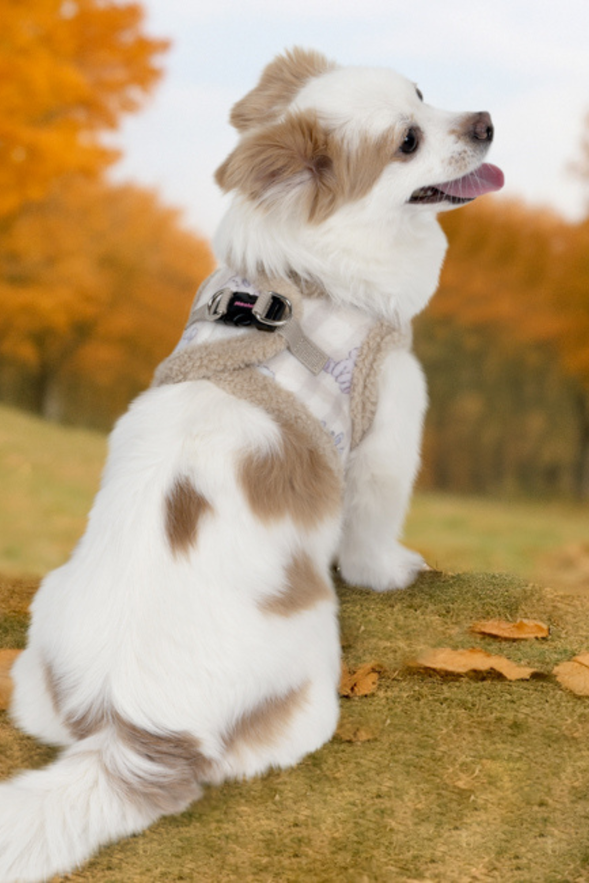 Pinkaholic Bronwen Vest Harness Köpek Göğüs Tasması Bej 