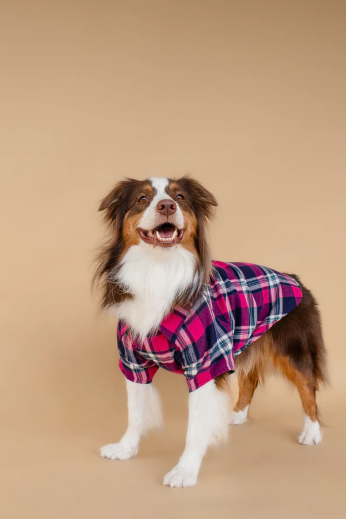 Asky&Erd Plaid Shirt Midnight Berry