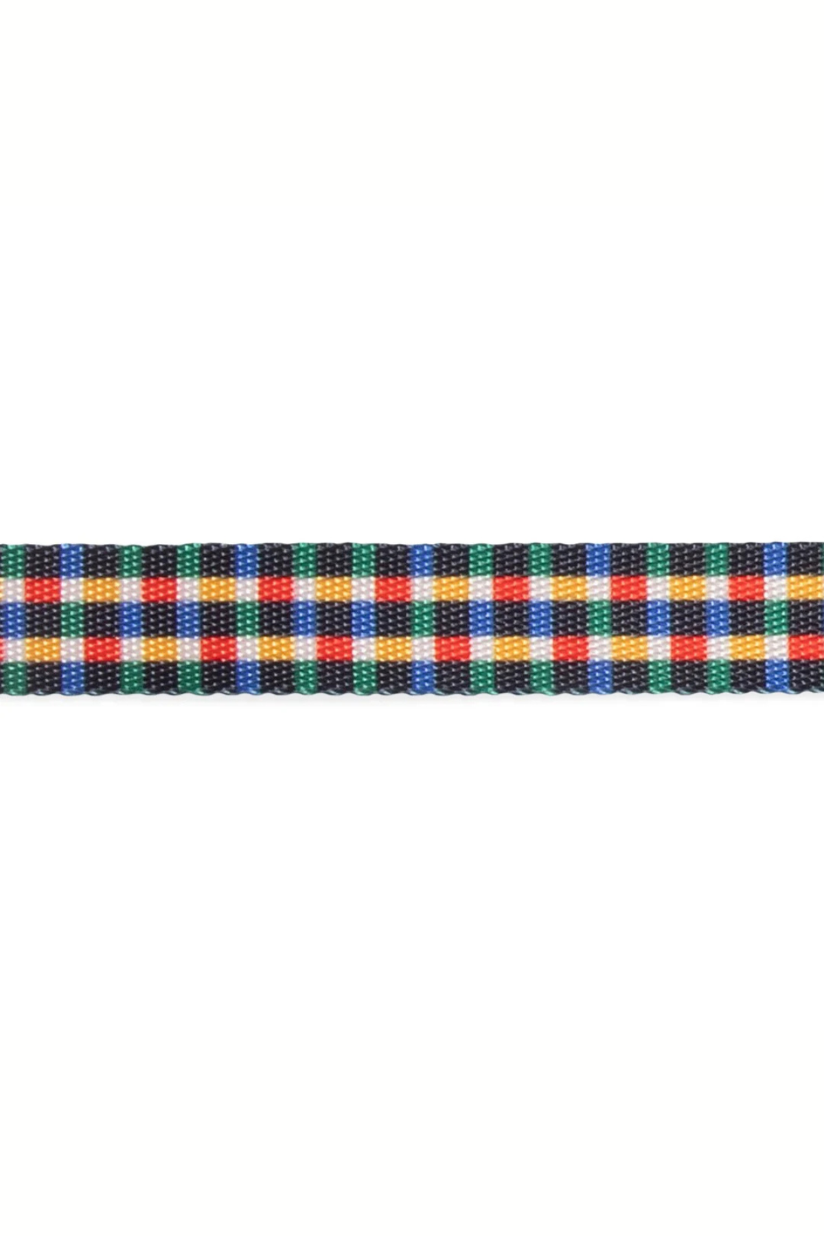 Zee.Dog Travis Köpek Boyun Tasması