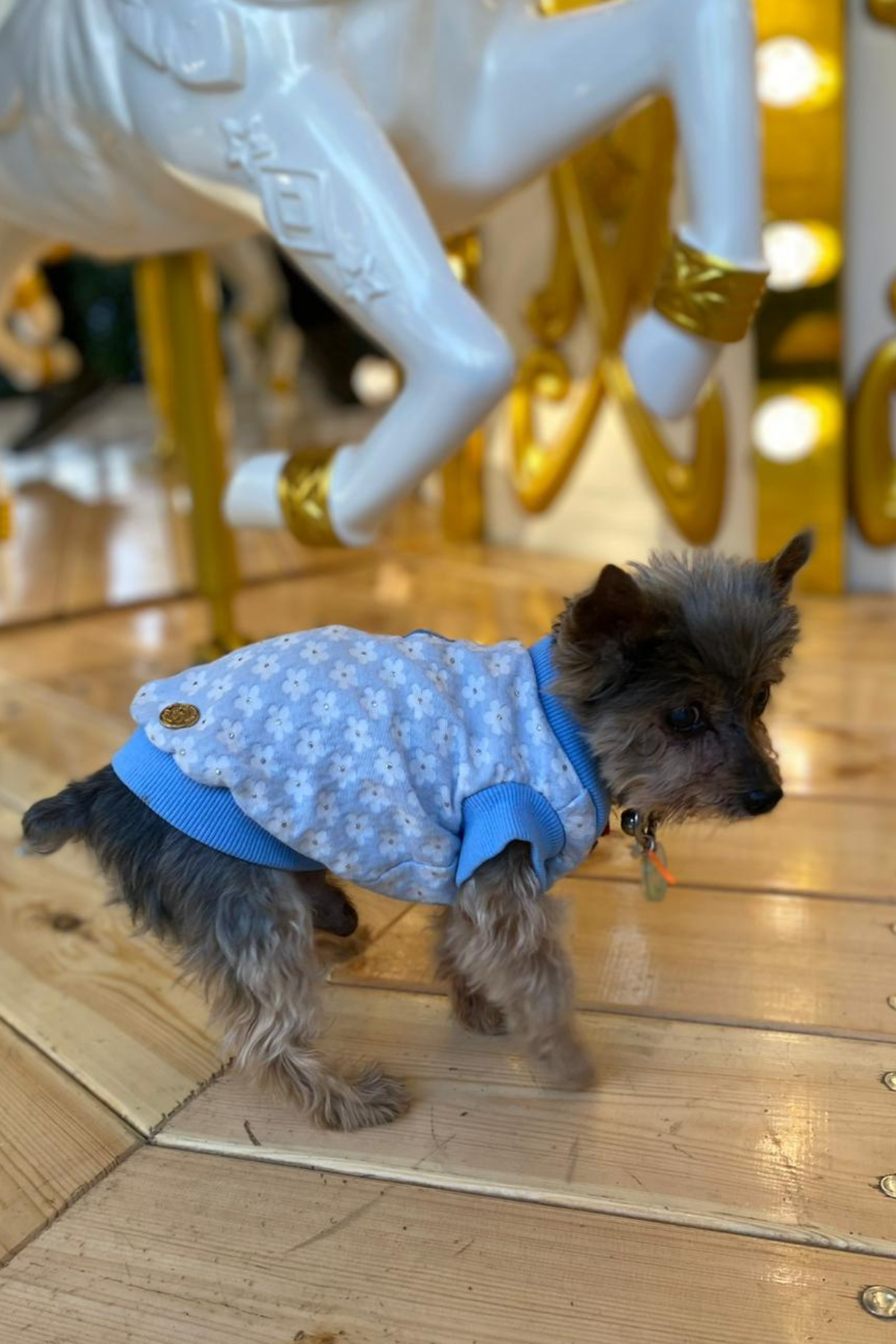 My Petit Paw Çiçekli Mavi Köpek Hırkası 