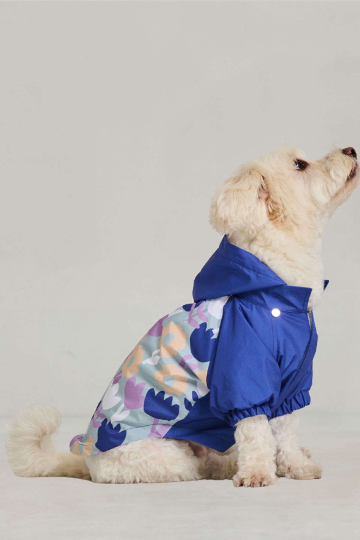 Godoist Köpek Yağmurluk - Raincoat Series -Flafy
