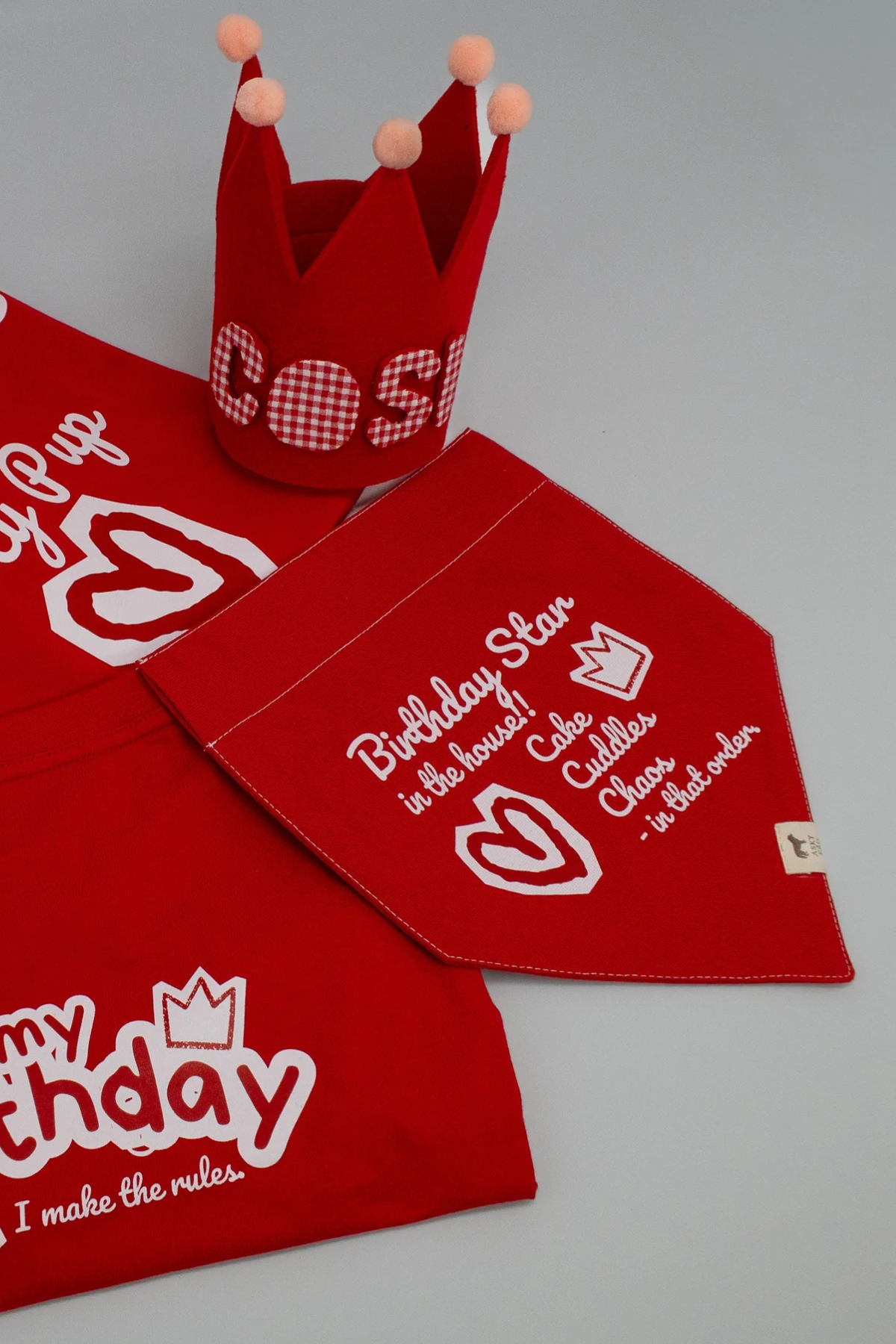 Asky&Erd Köpek Bandana | It’s My Birthday Kırmızı