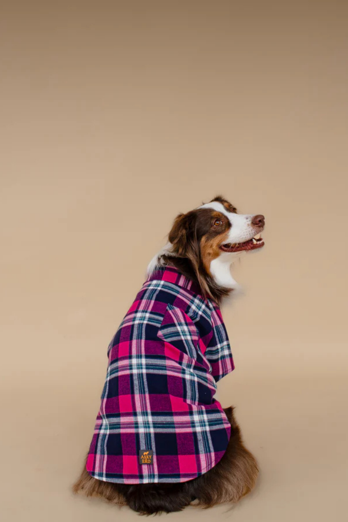 Asky&Erd Plaid Shirt Midnight Berry