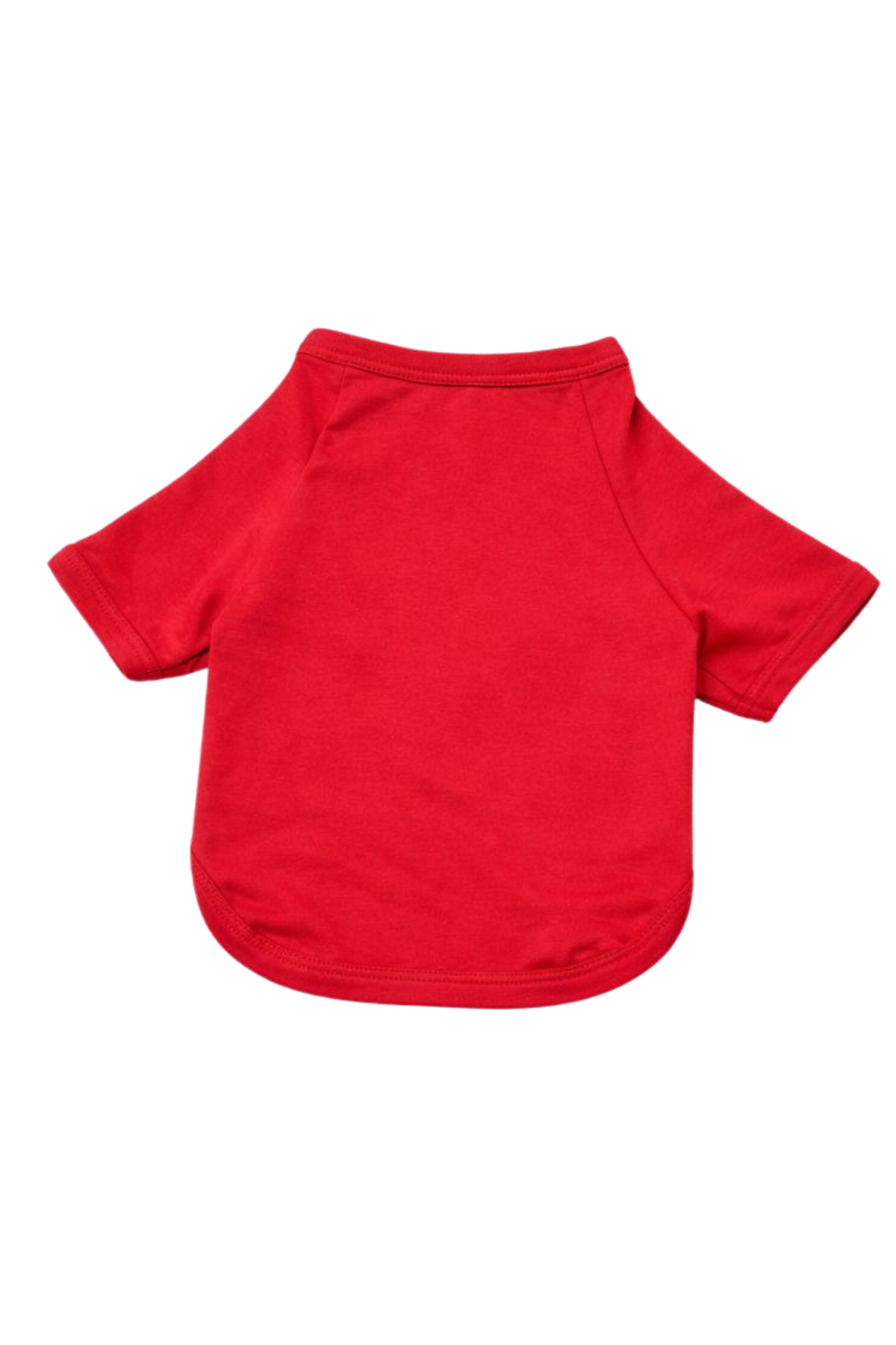 Ziggy Dog Köpek T-shirt Nar Çiçeği