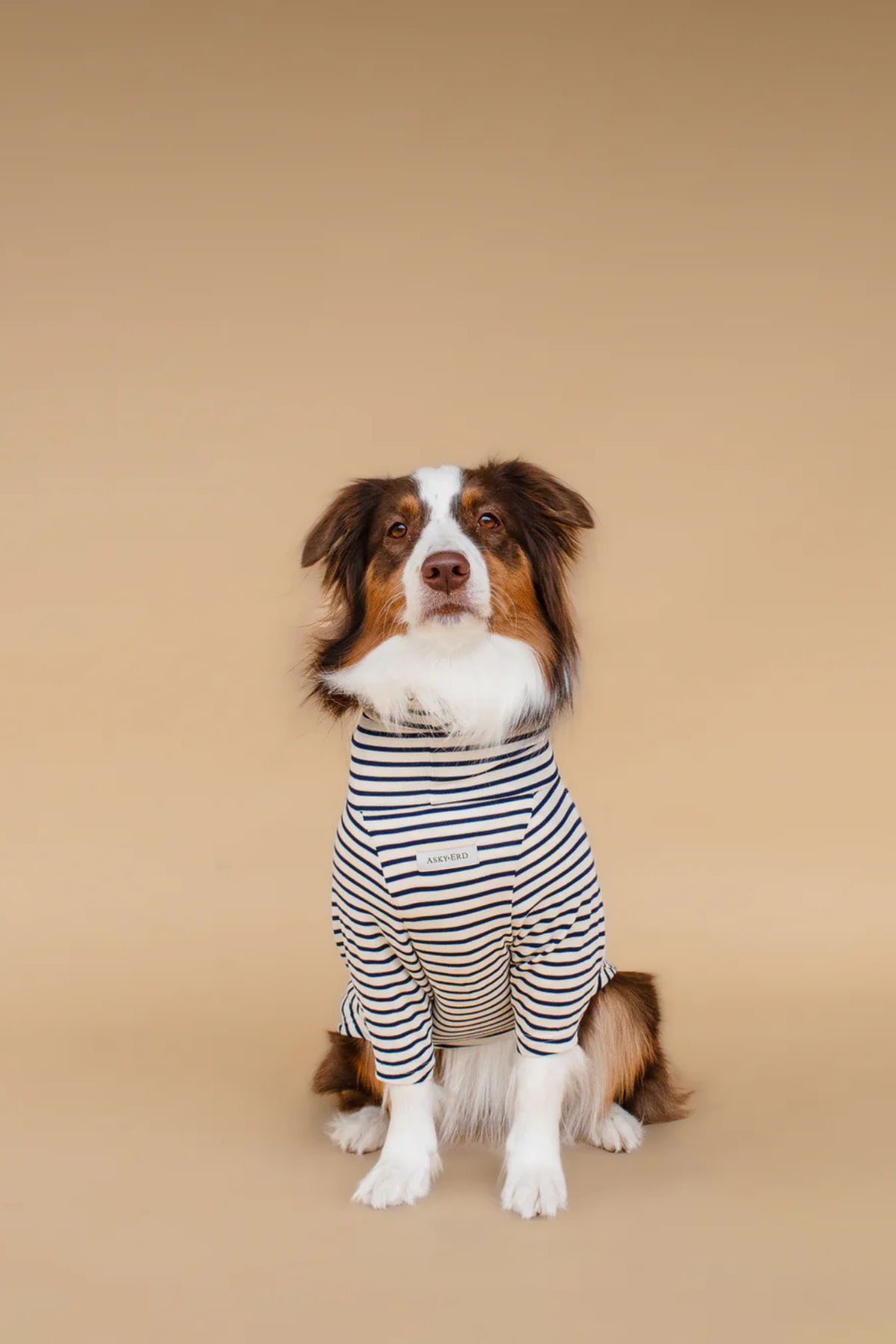 Asky&Erd Turtleneck Tshirt | Coastal Navy