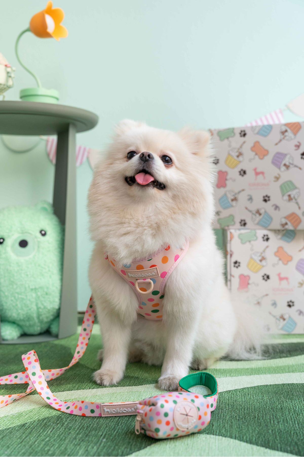  Lolidogs Köpek Göğüs Tasması ve Kayış Seti | Sprinkle