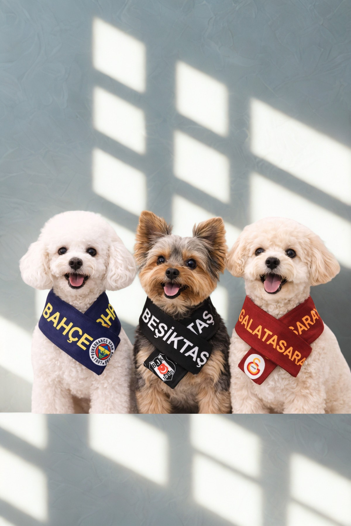 Alphadog Fenerbahçe Küçük Irk Köpek Atkısı