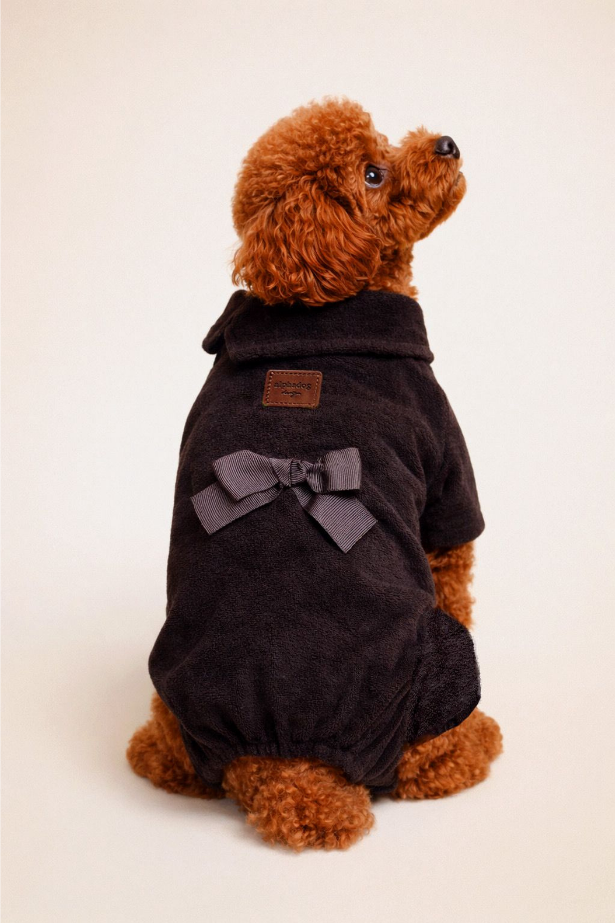 Alphadog Fiyonklu Köpek Tulum Siyah