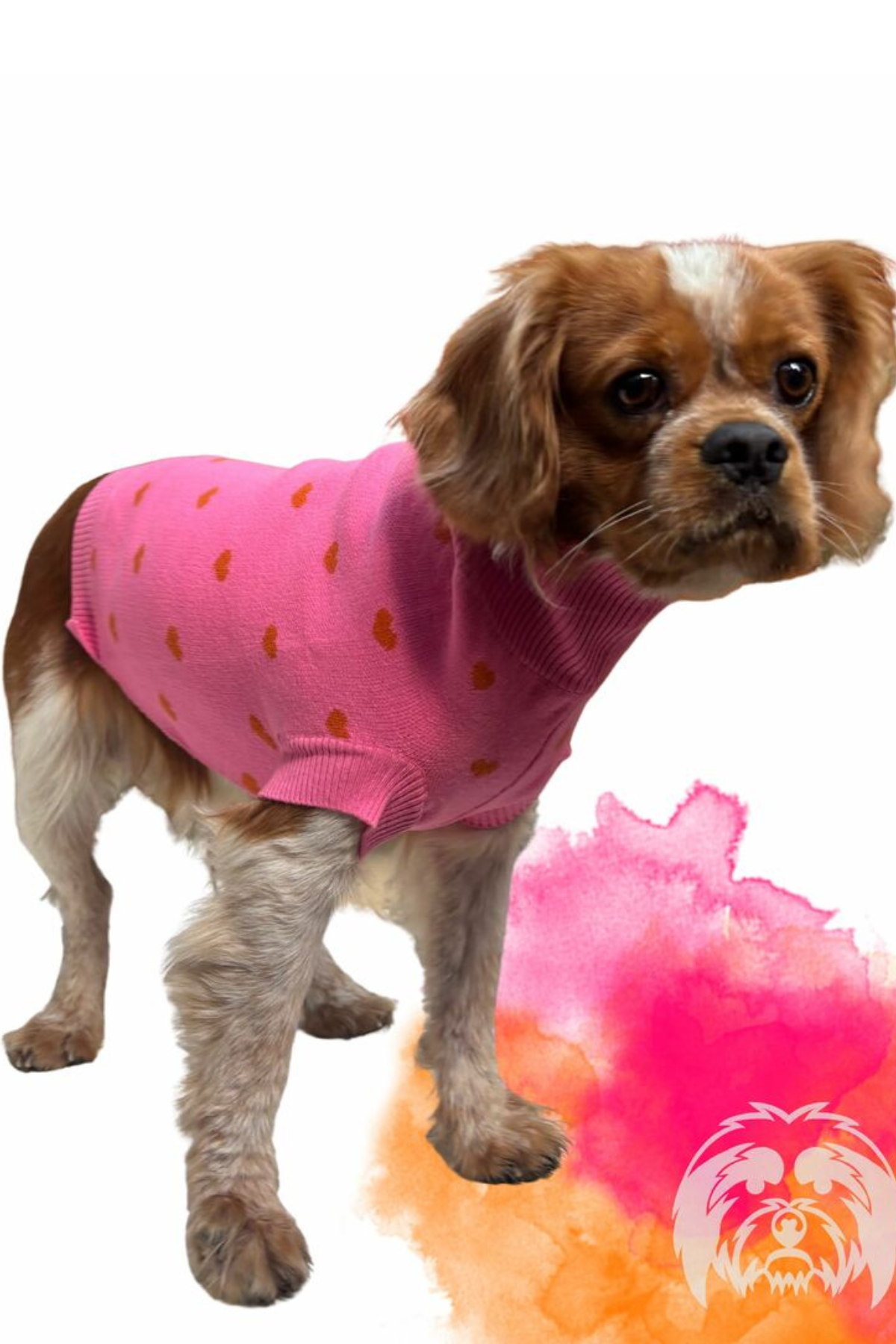 Suchkin Pink (New) Köpek Kazağı